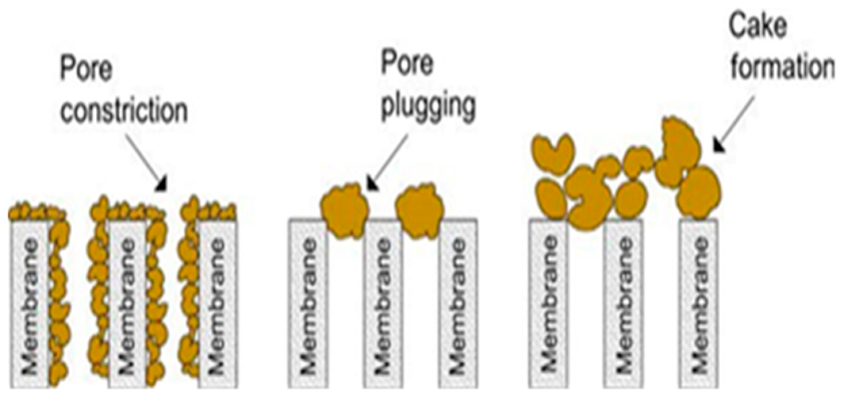 Processes 12 00734 g008