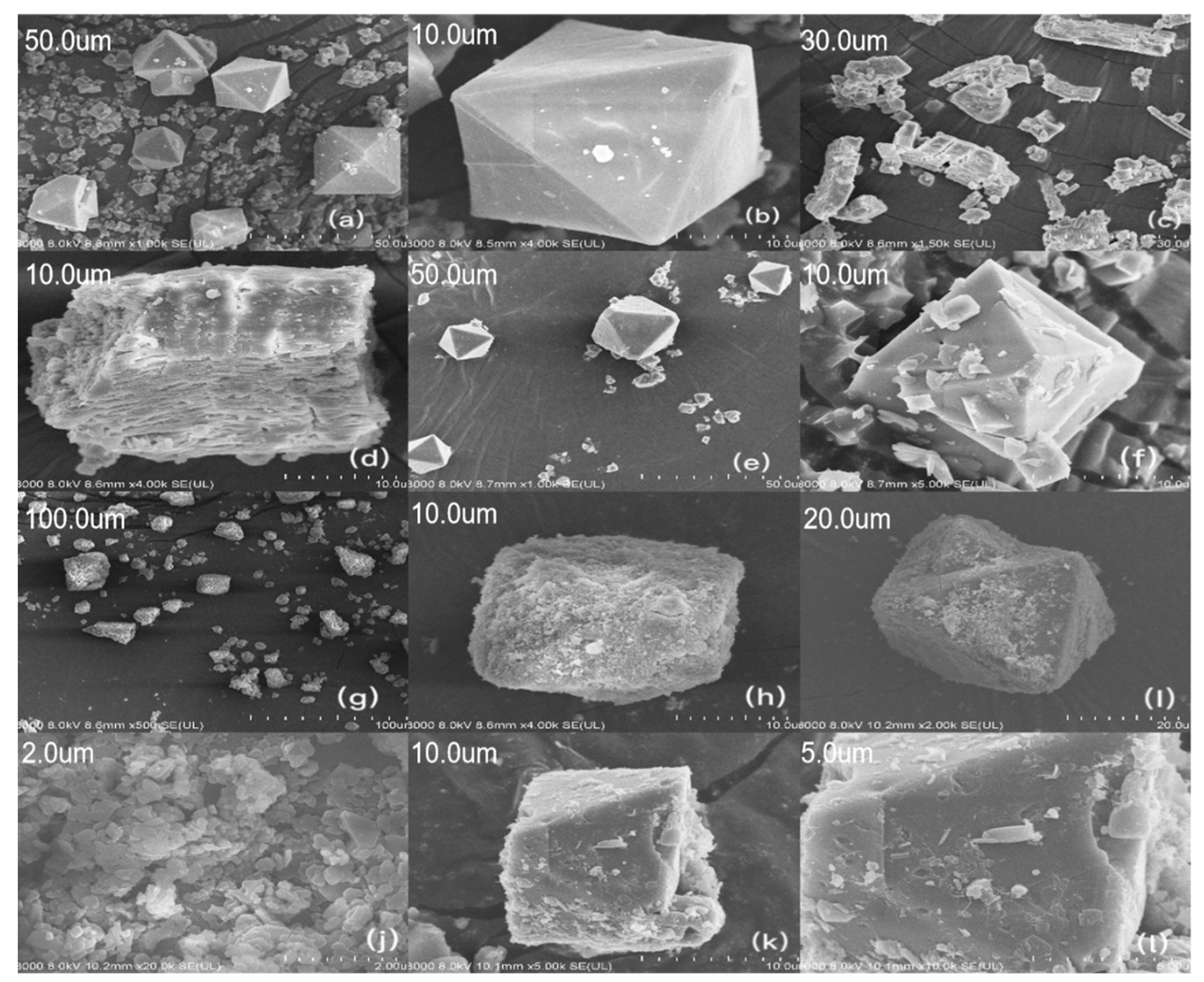 Processes 12 00745 g004