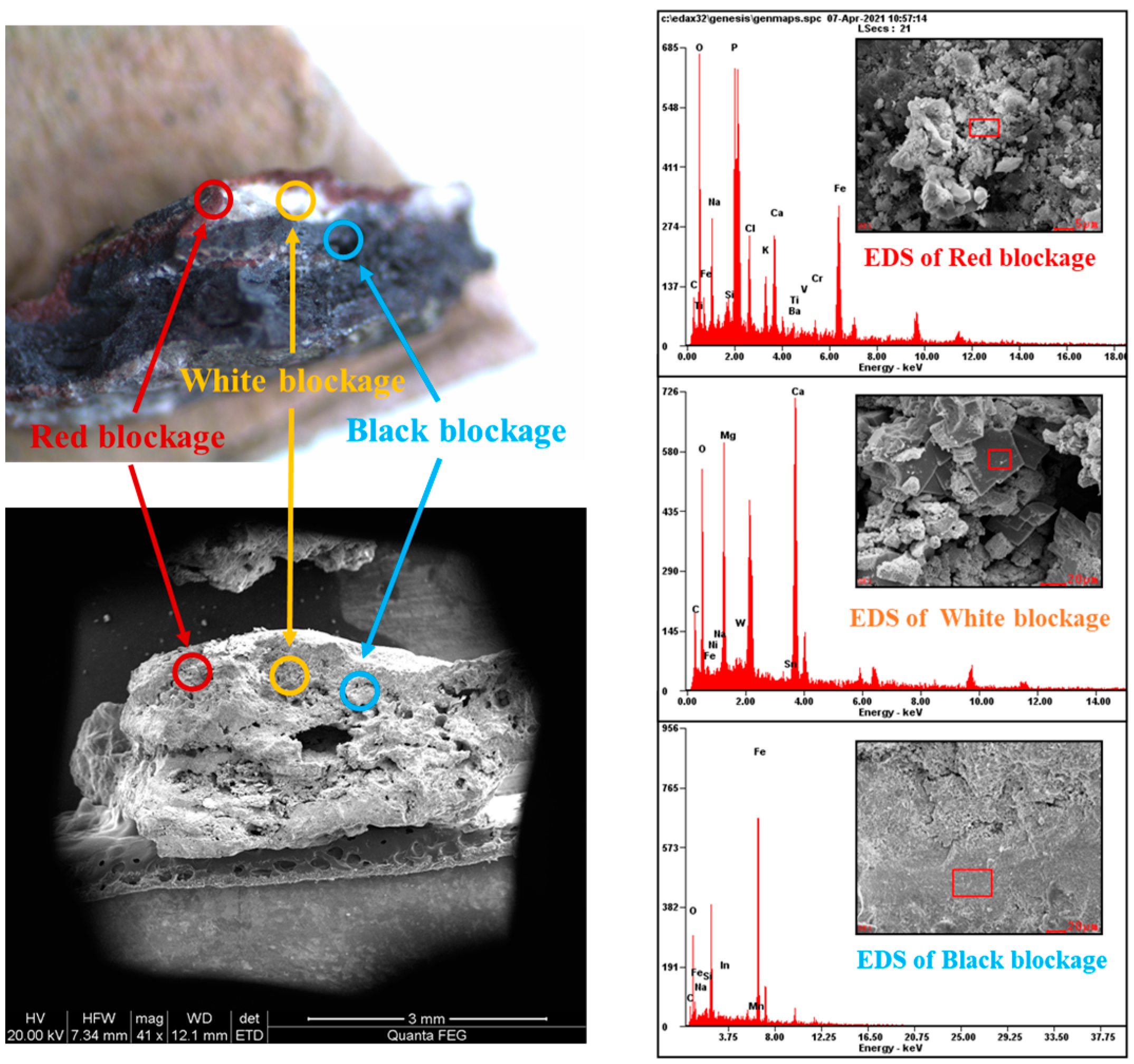 Processes 12 00782 g002
