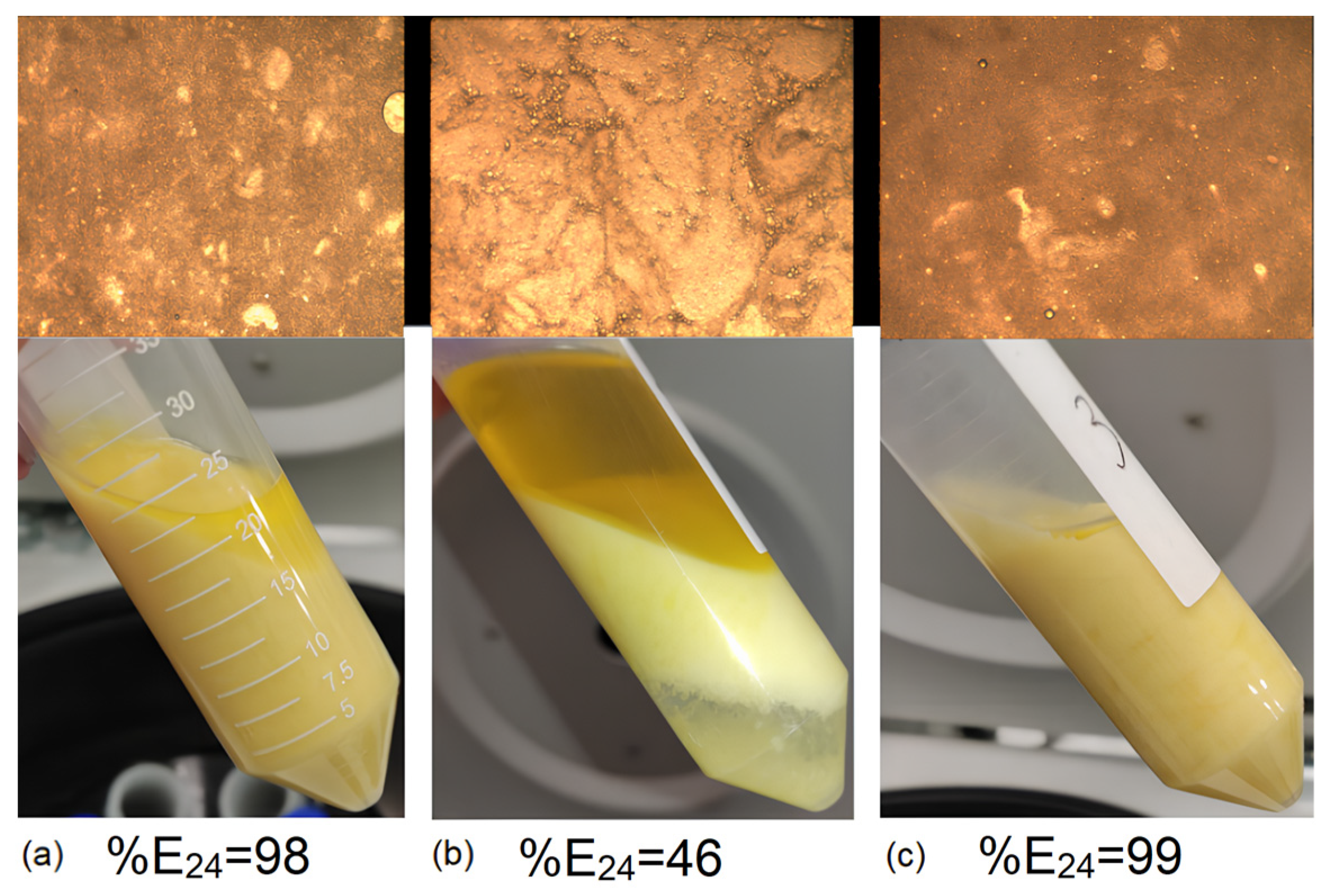 Processes 12 00788 g009
