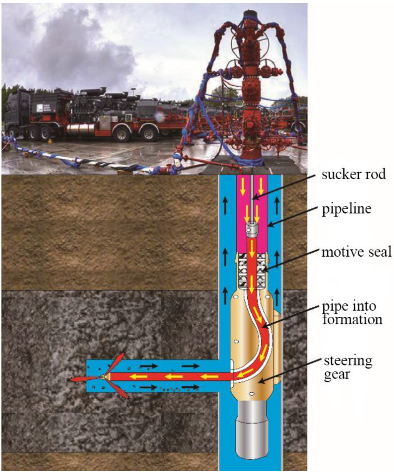 Reliability Analysis of Dynamic Sealing Performance in the Radial ...