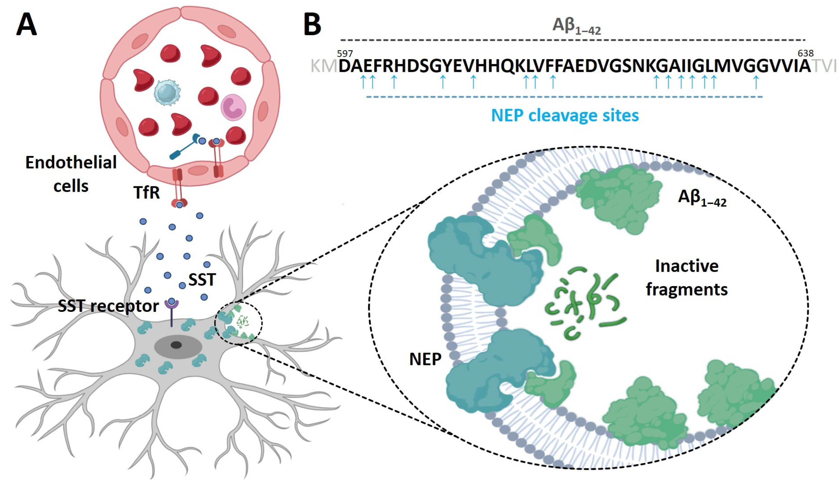 Processes 12 00885 g001