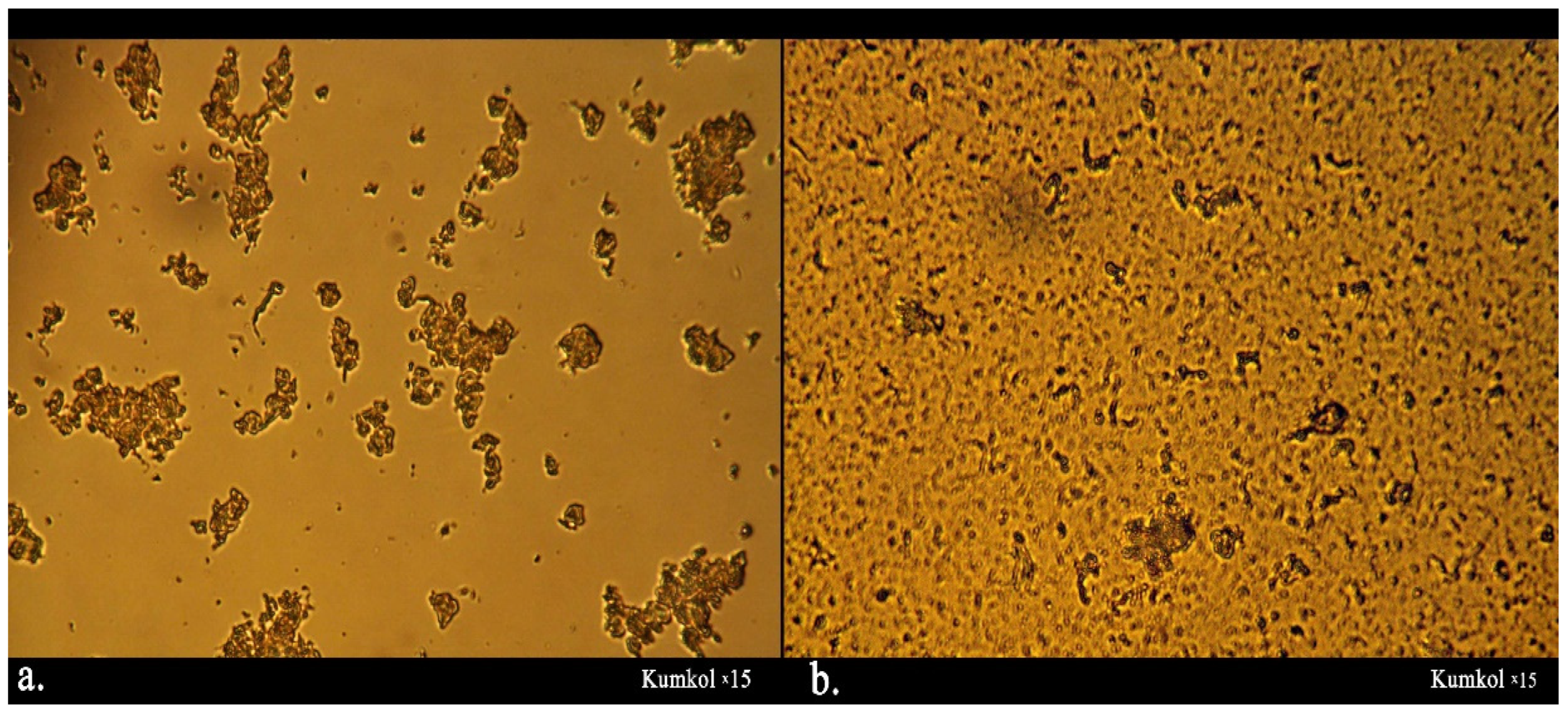 Processes 12 01052 g006