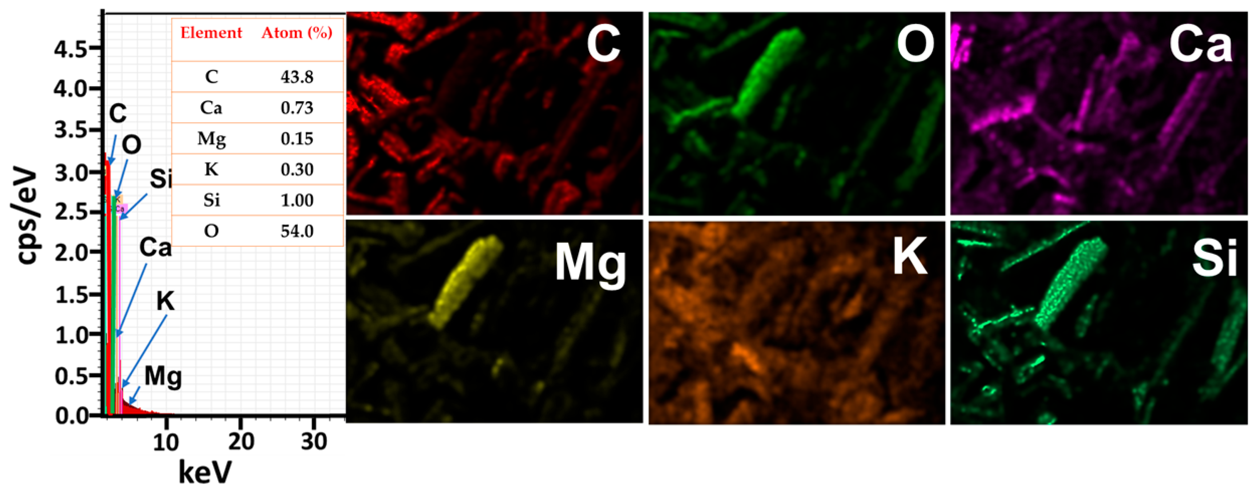 Processes 12 01115 g003