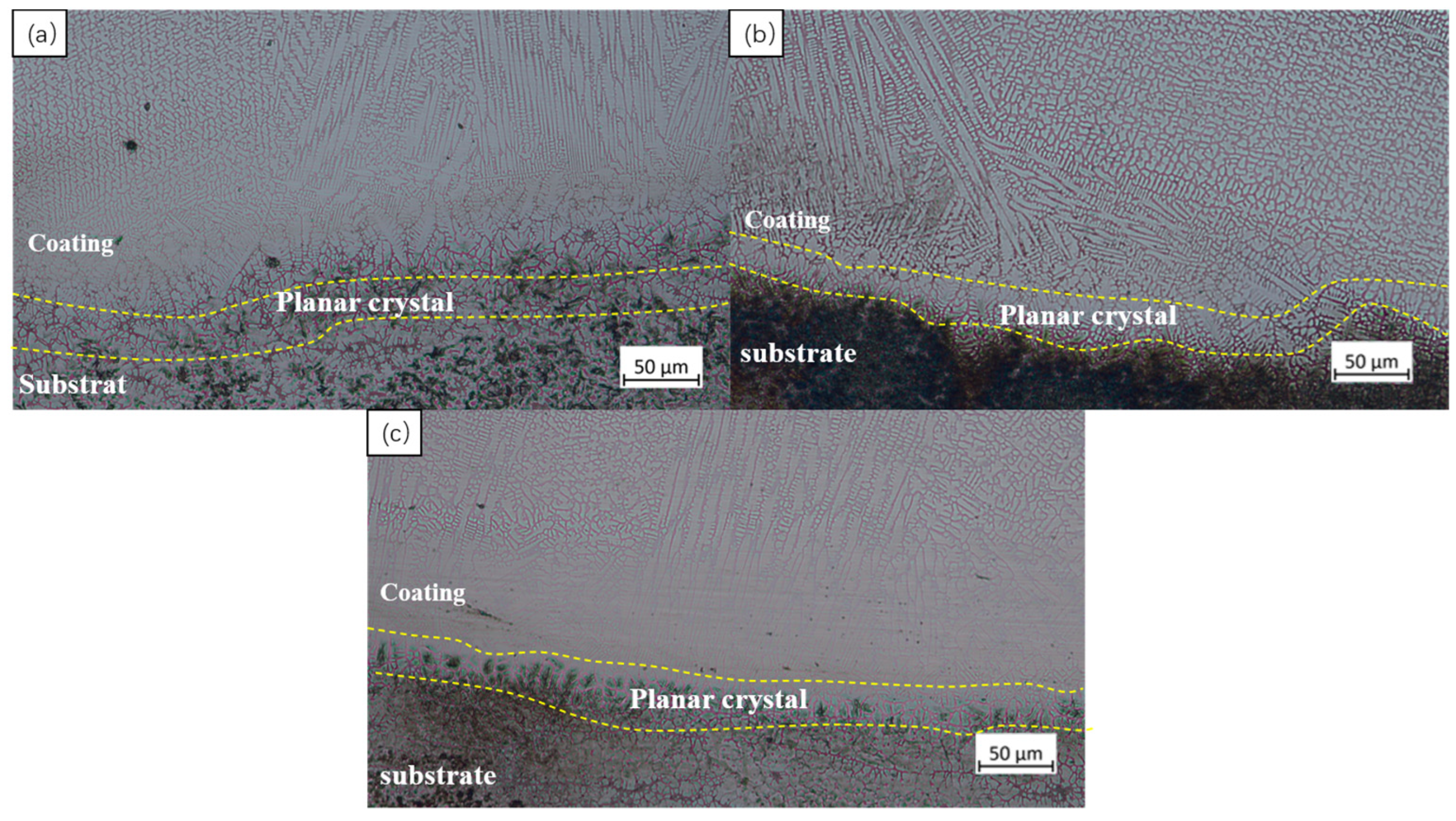Processes 12 01119 g009