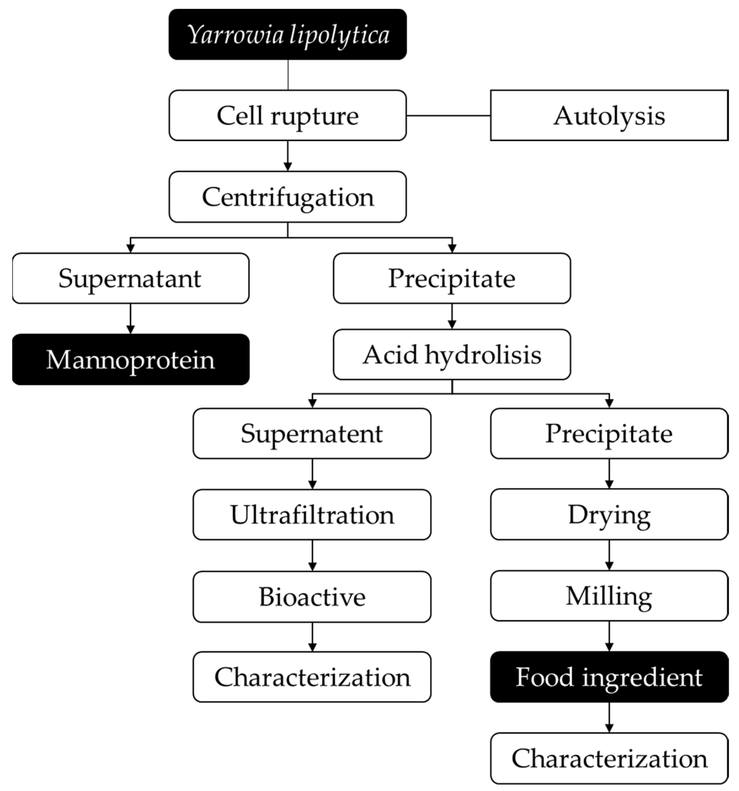 Processes 12 01132 g001