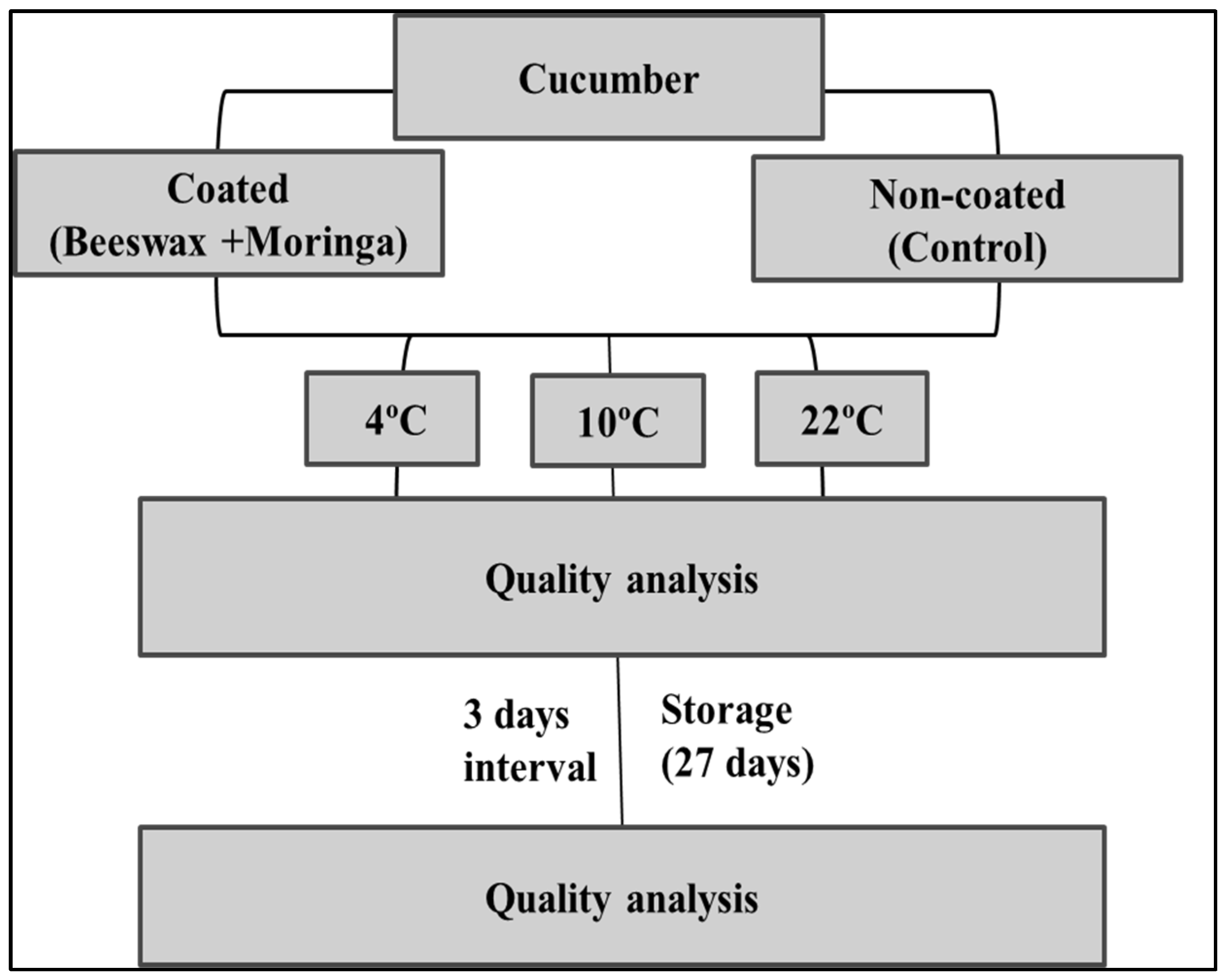 Processes 12 01148 g001
