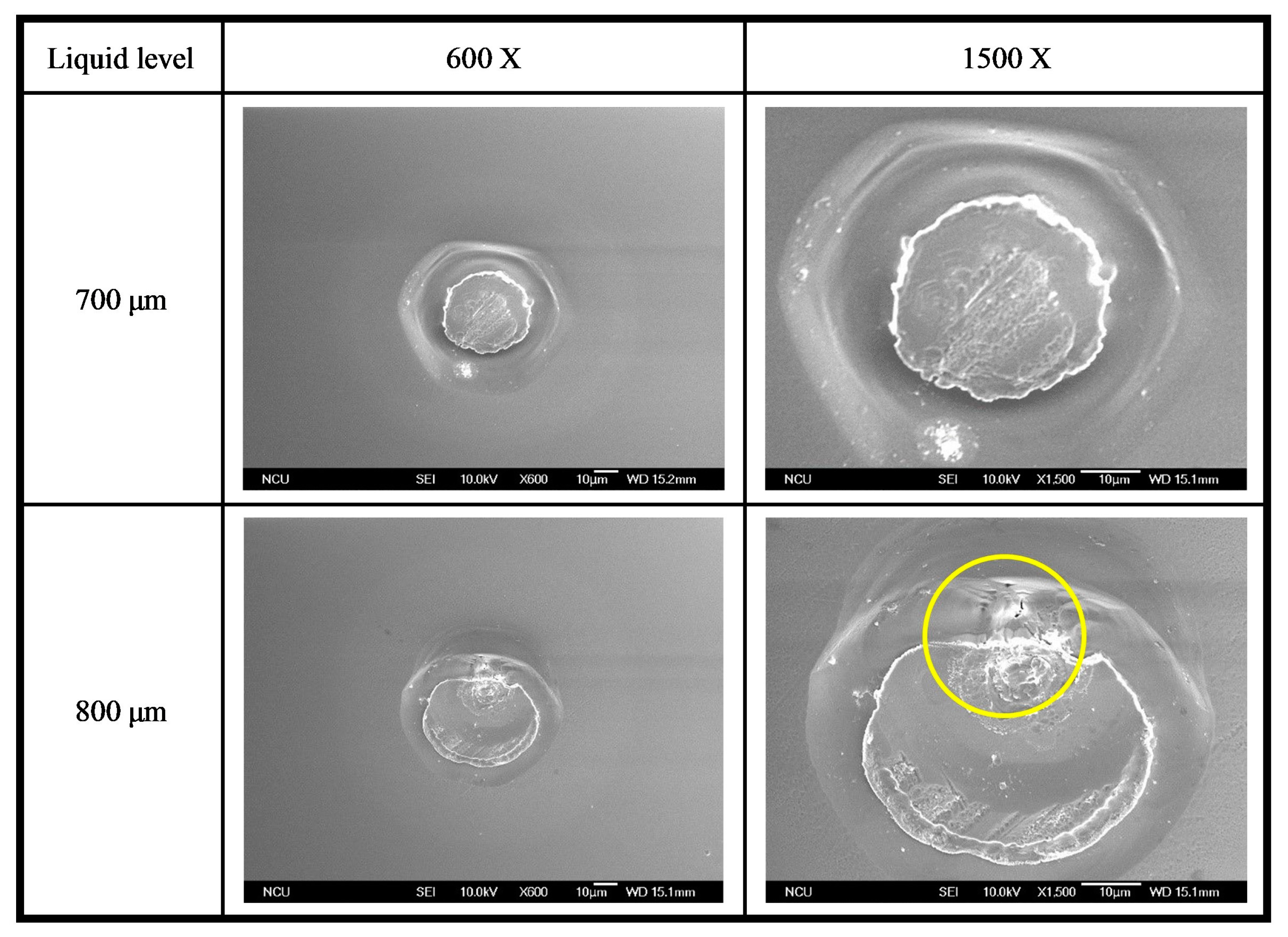 Processes 12 01149 g018