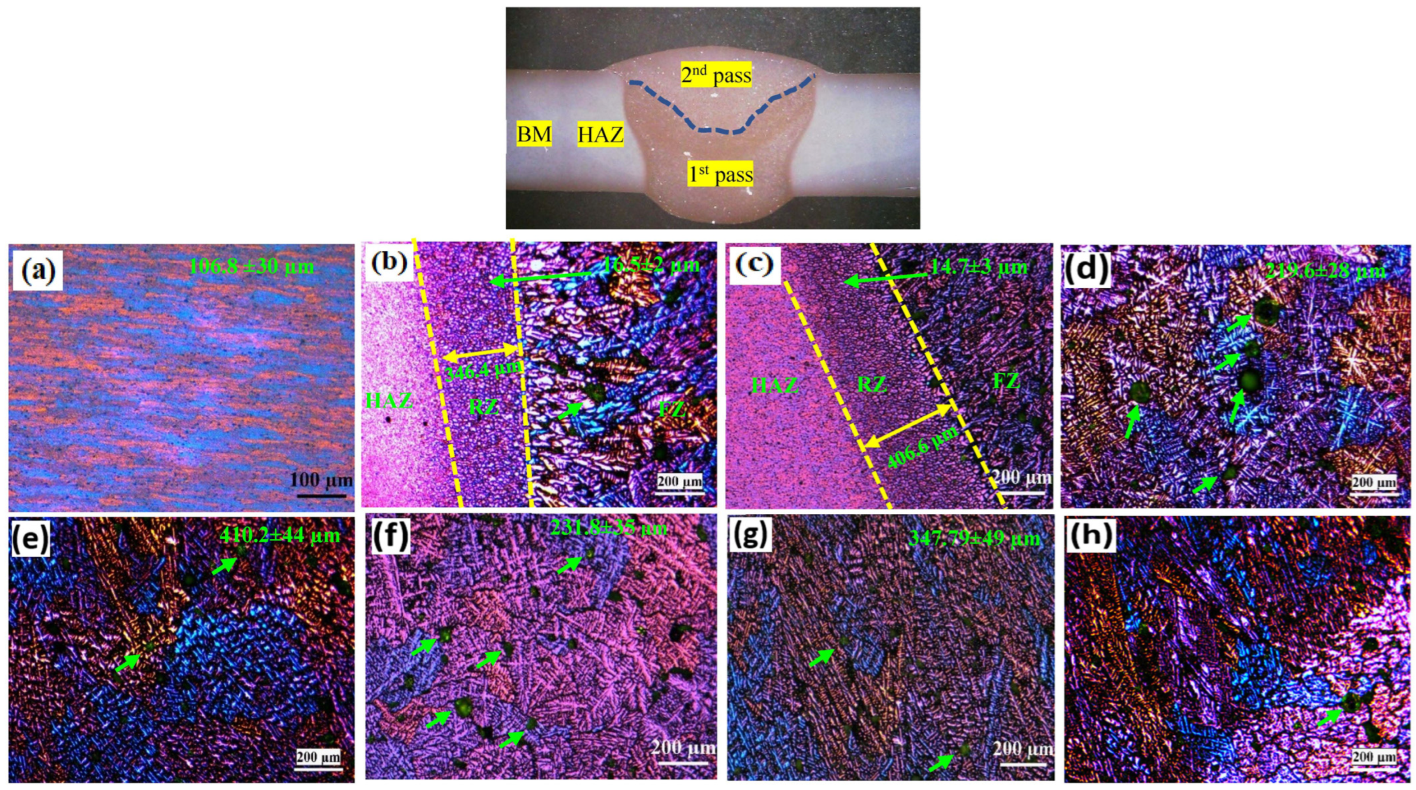 Processes 12 01172 g003