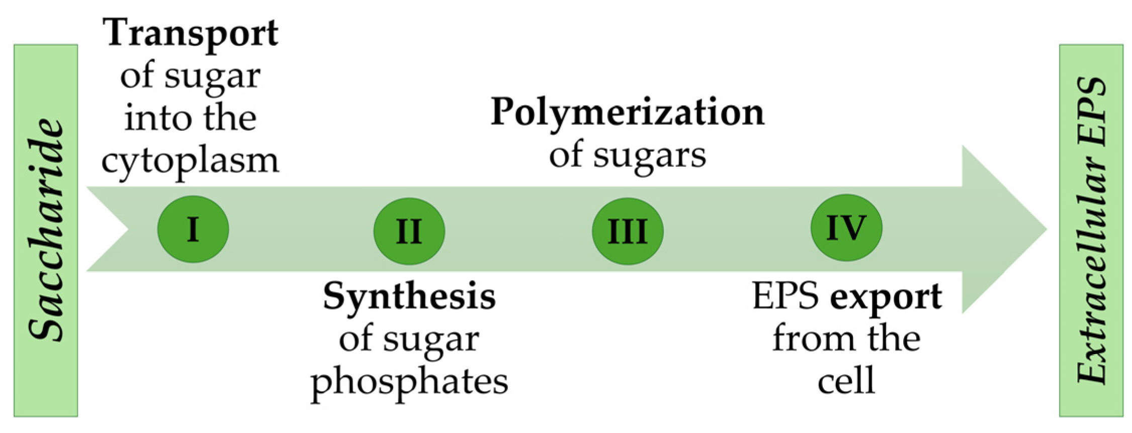 Processes 12 01192 g001