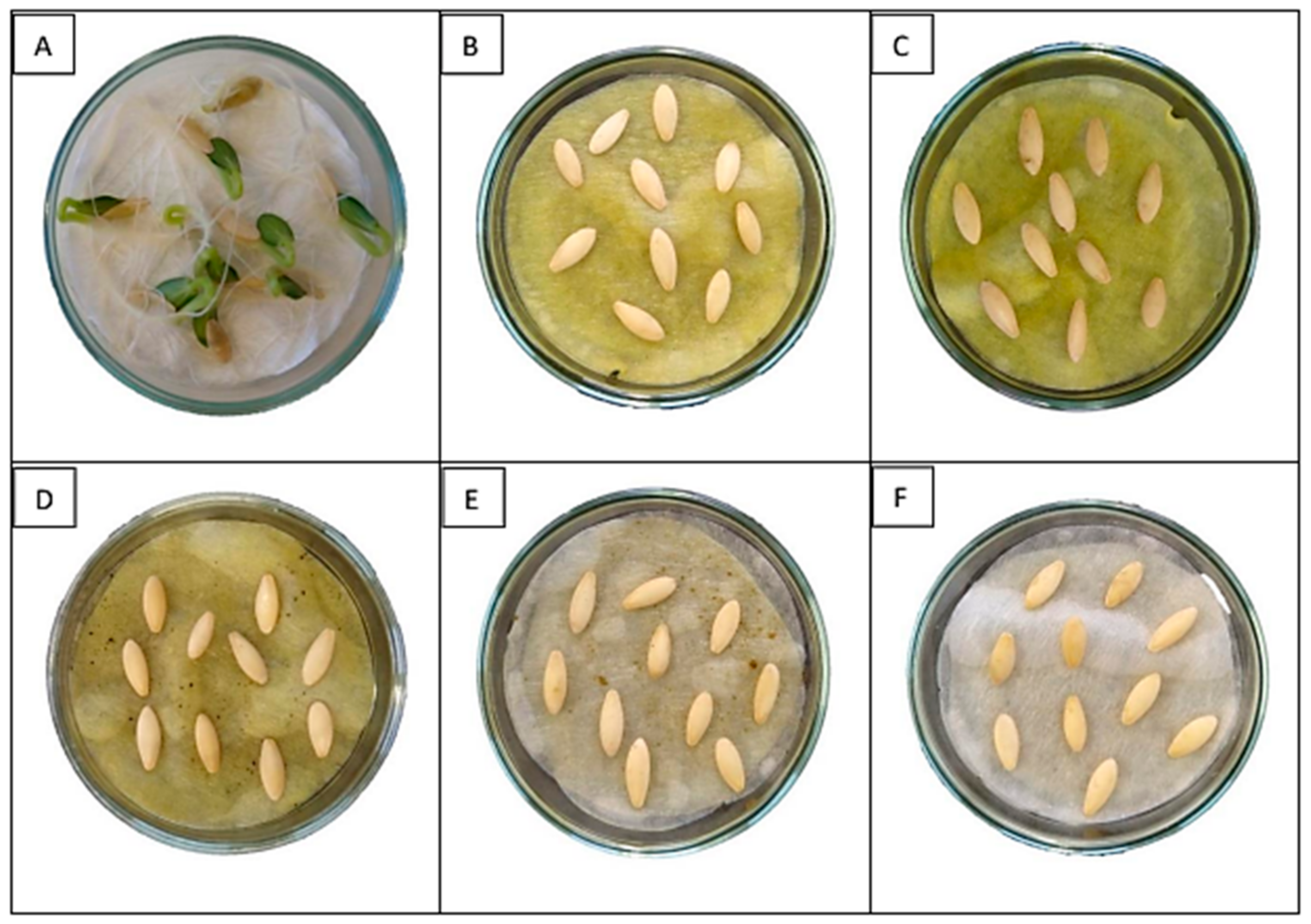 Processes 12 01208 g002