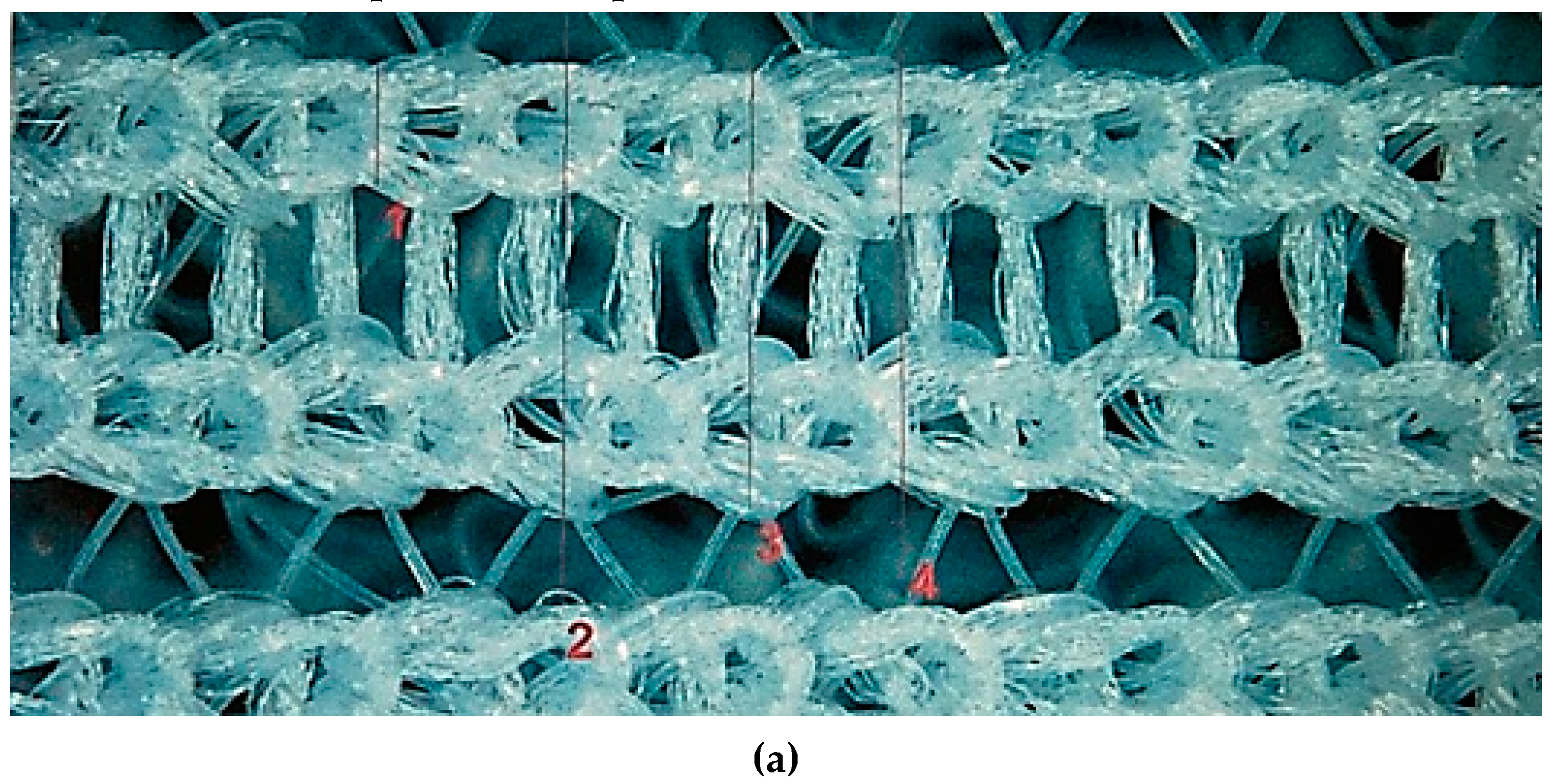 Processes 12 01275 g002a