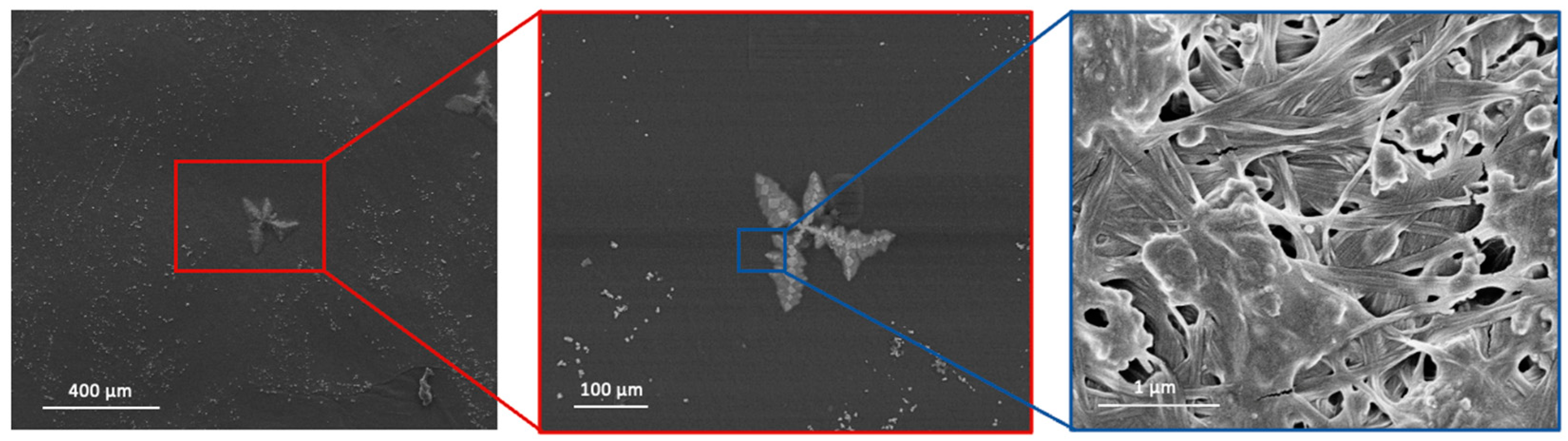 Processes 12 01282 g011