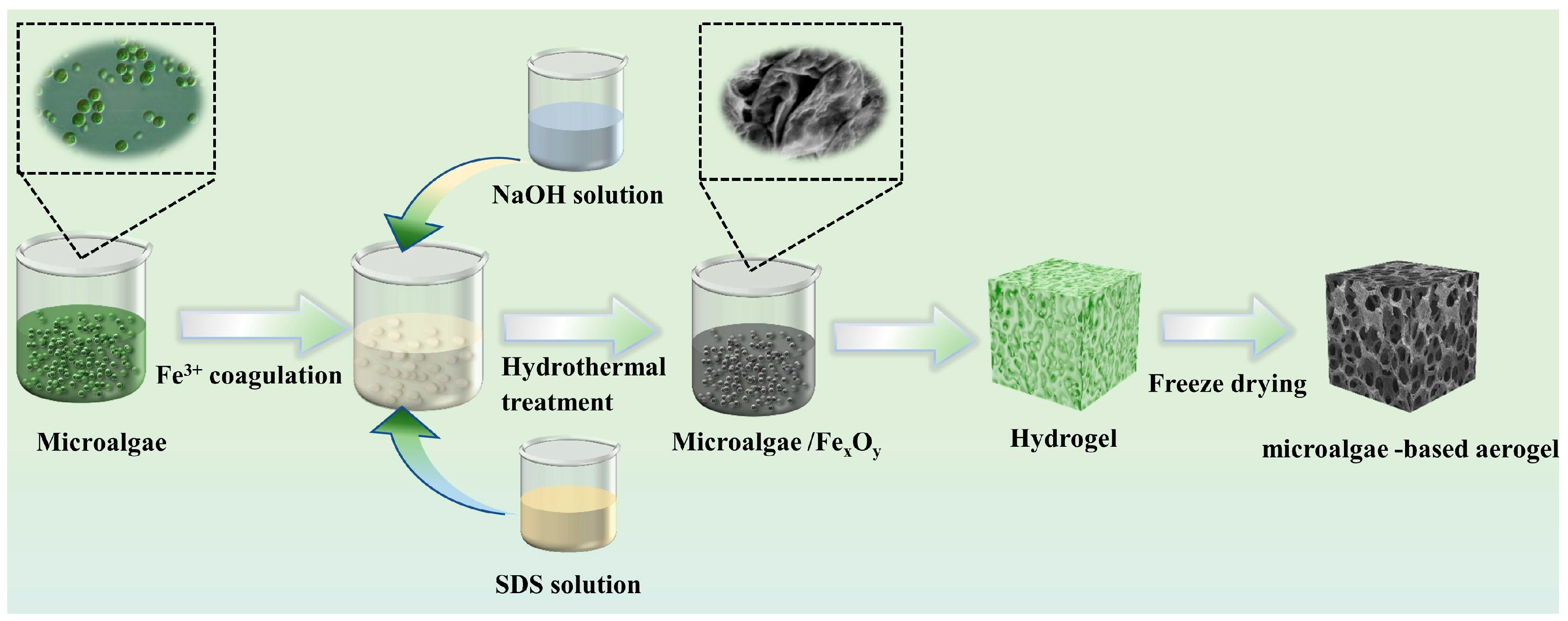 Processes 12 01313 g001