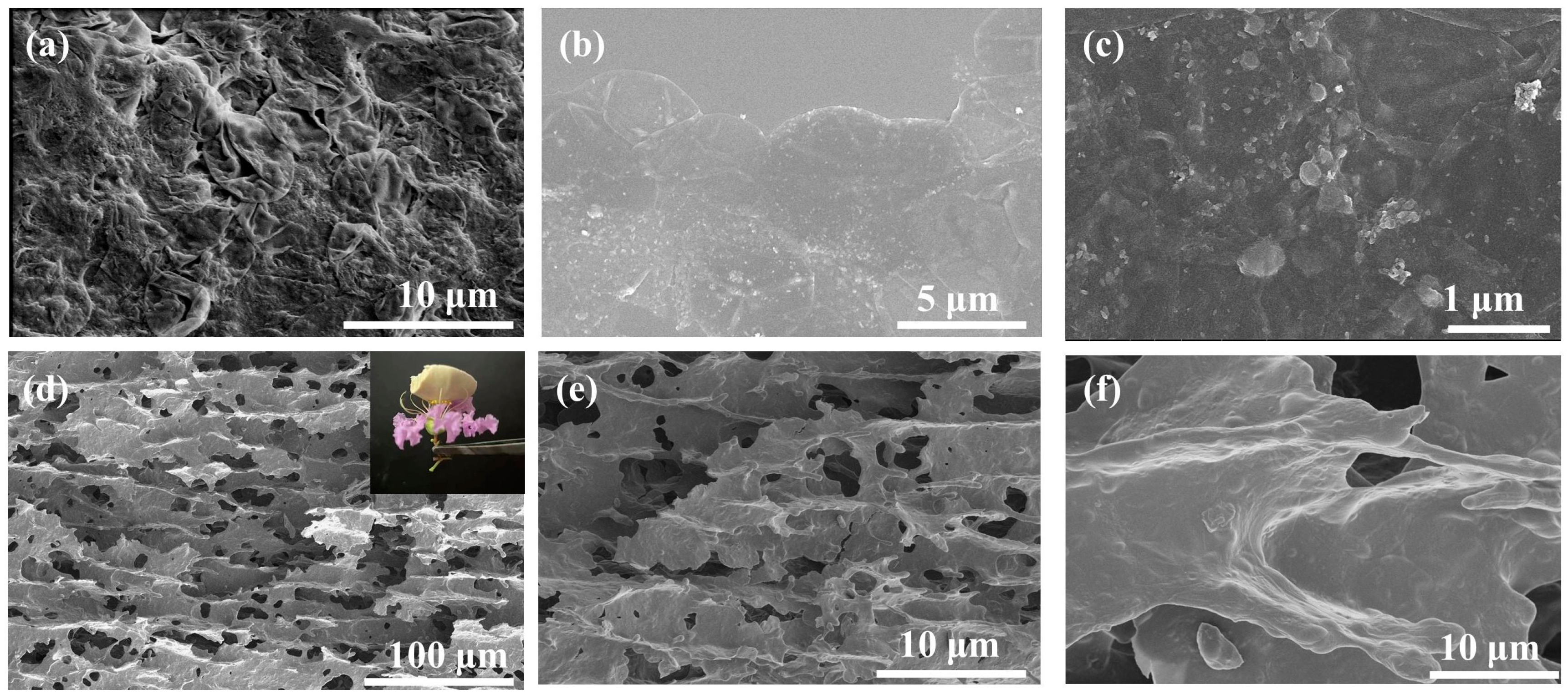 Processes 12 01313 g002