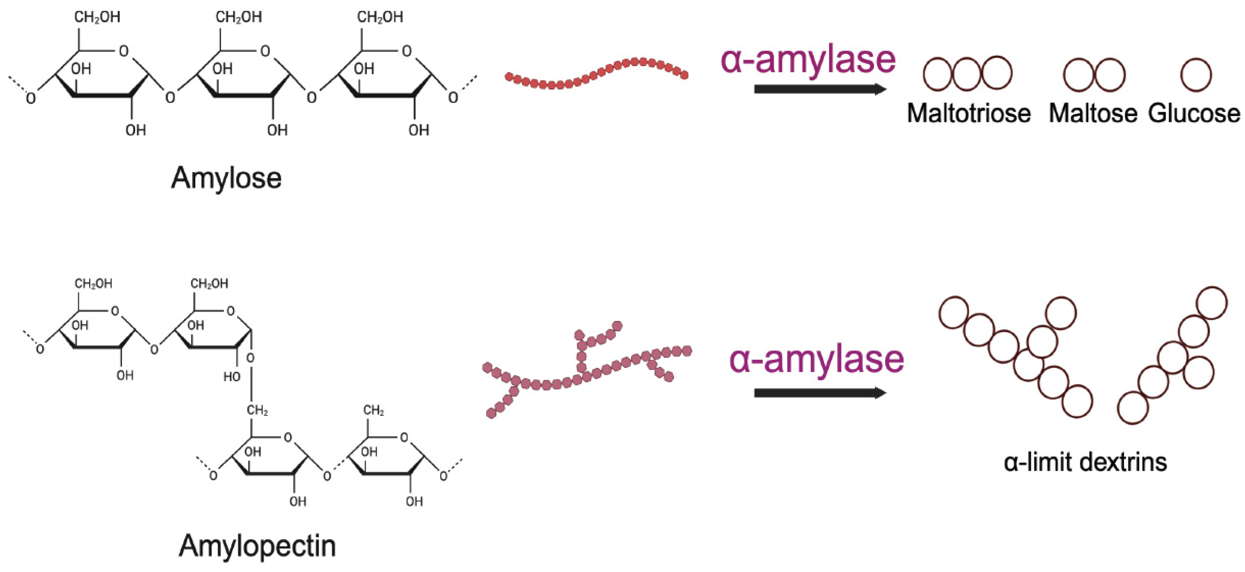 Processes 12 01341 g003 Processes 12 01341 g003