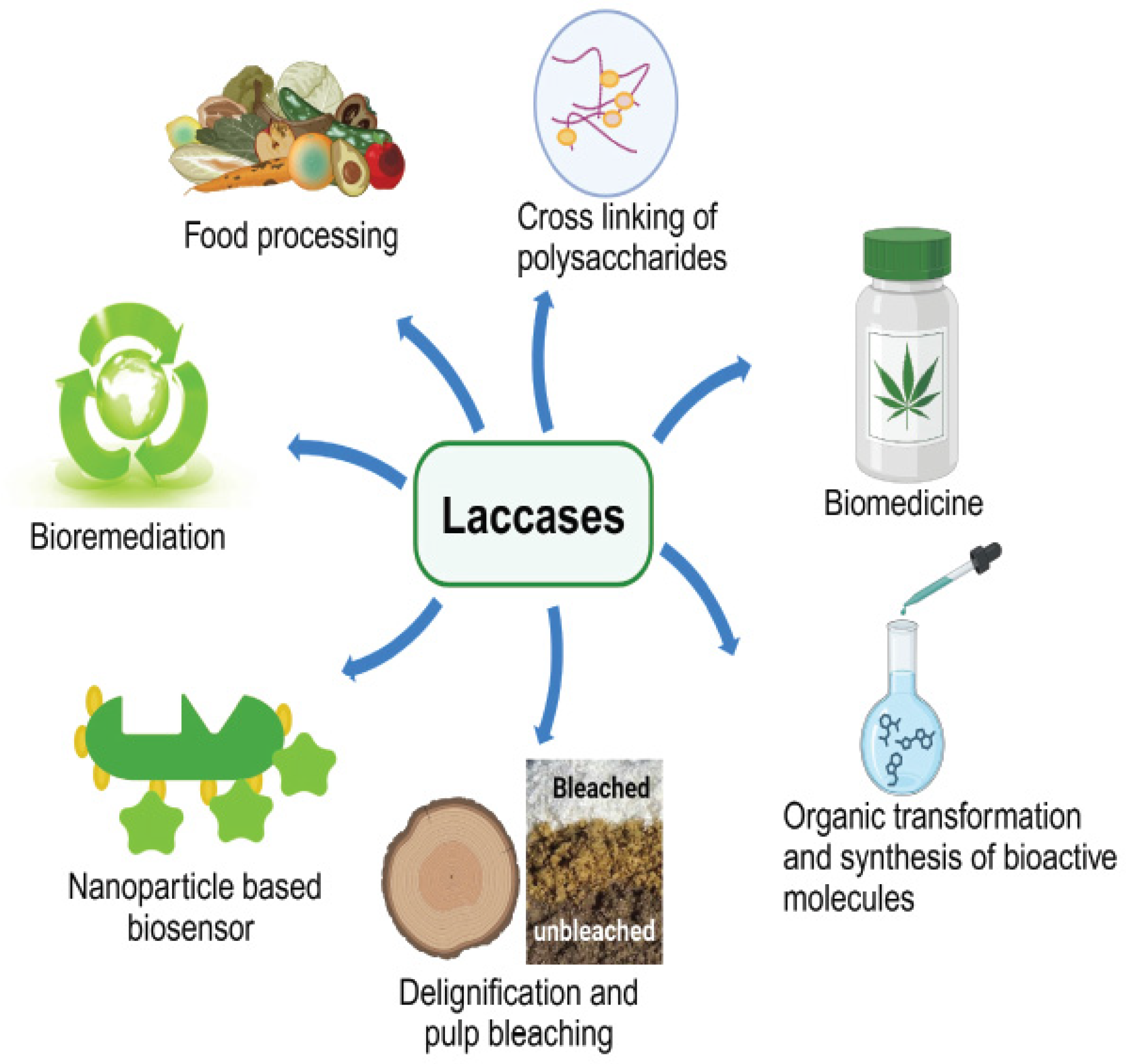 Processes 12 01341 g004 Processes 12 01341 g004