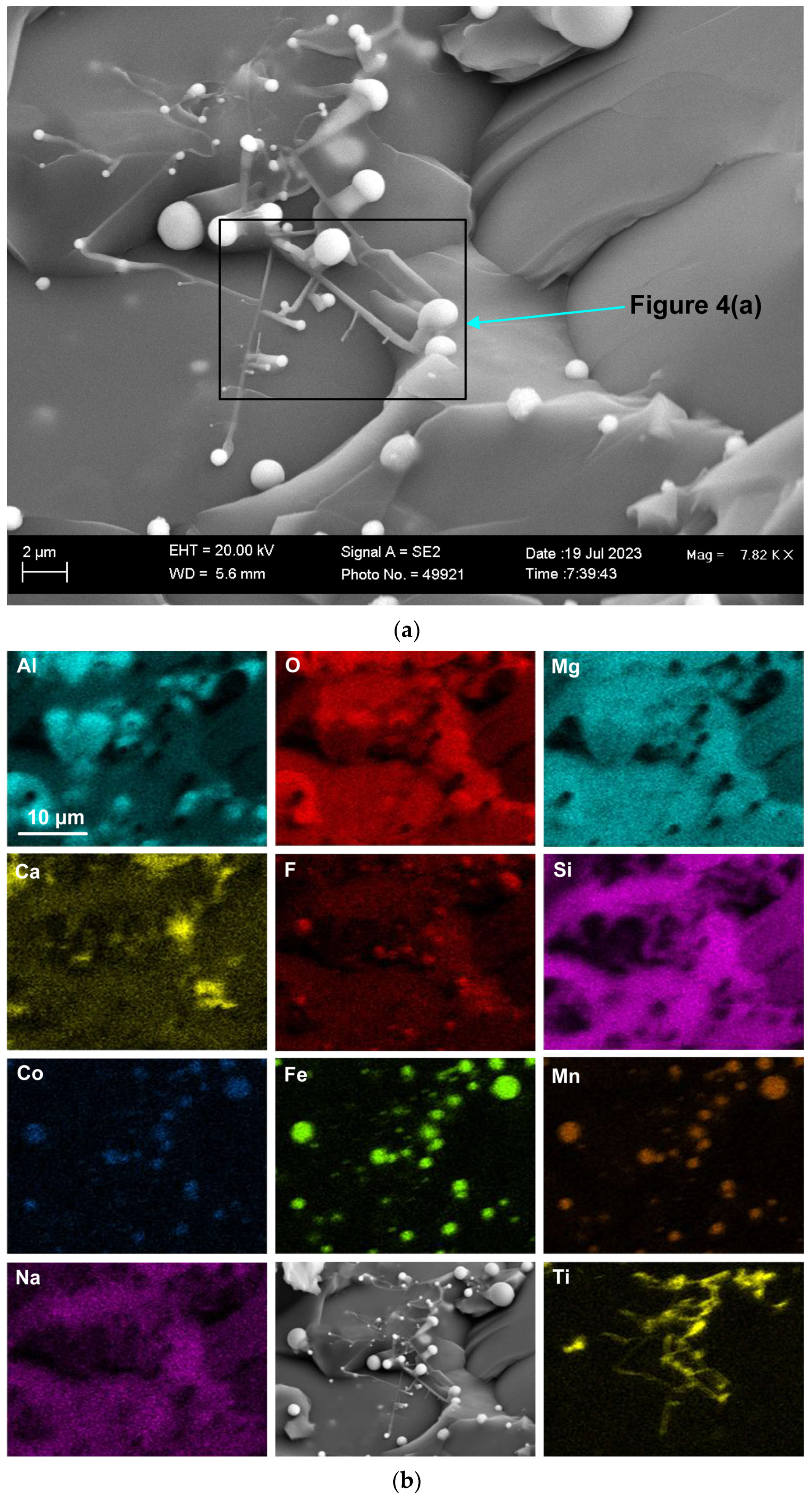 Processes 12 01342 g003