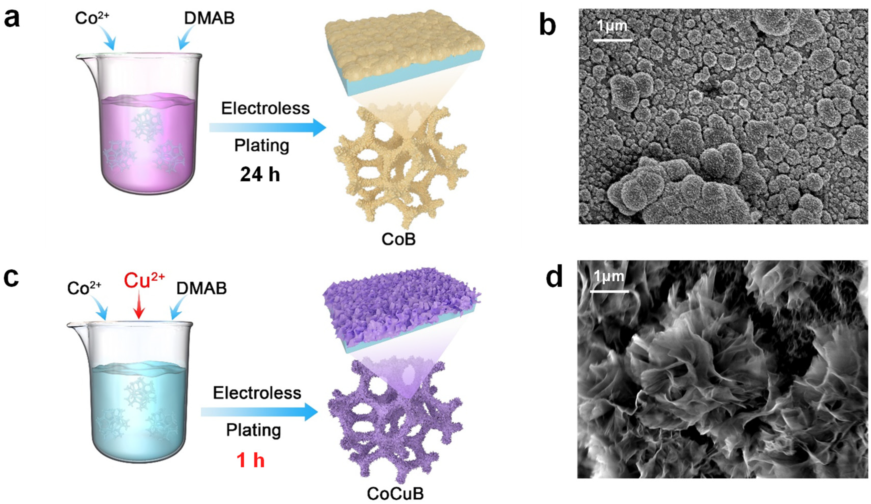 Processes 12 01384 g001
