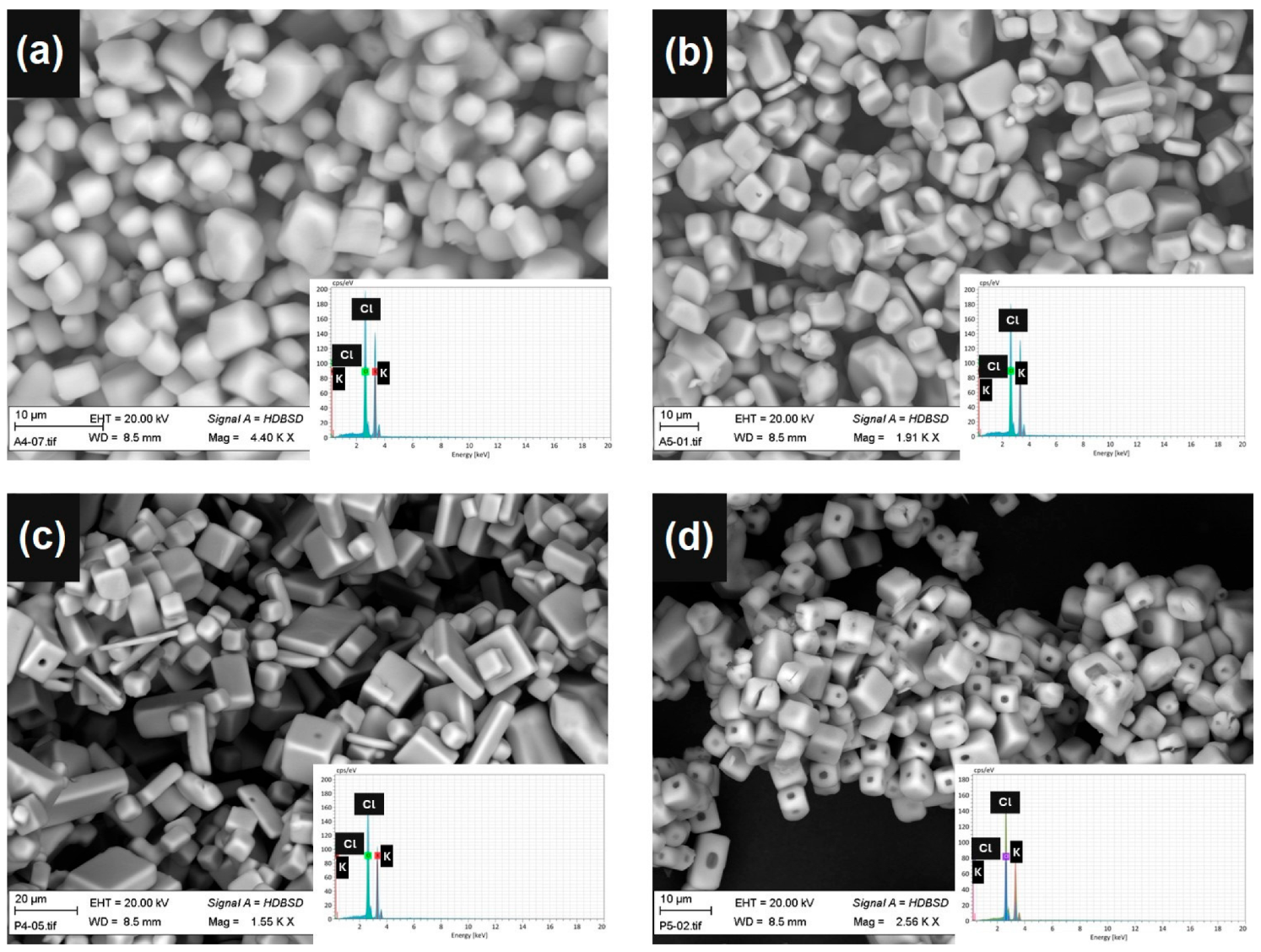 Processes 12 01385 g005