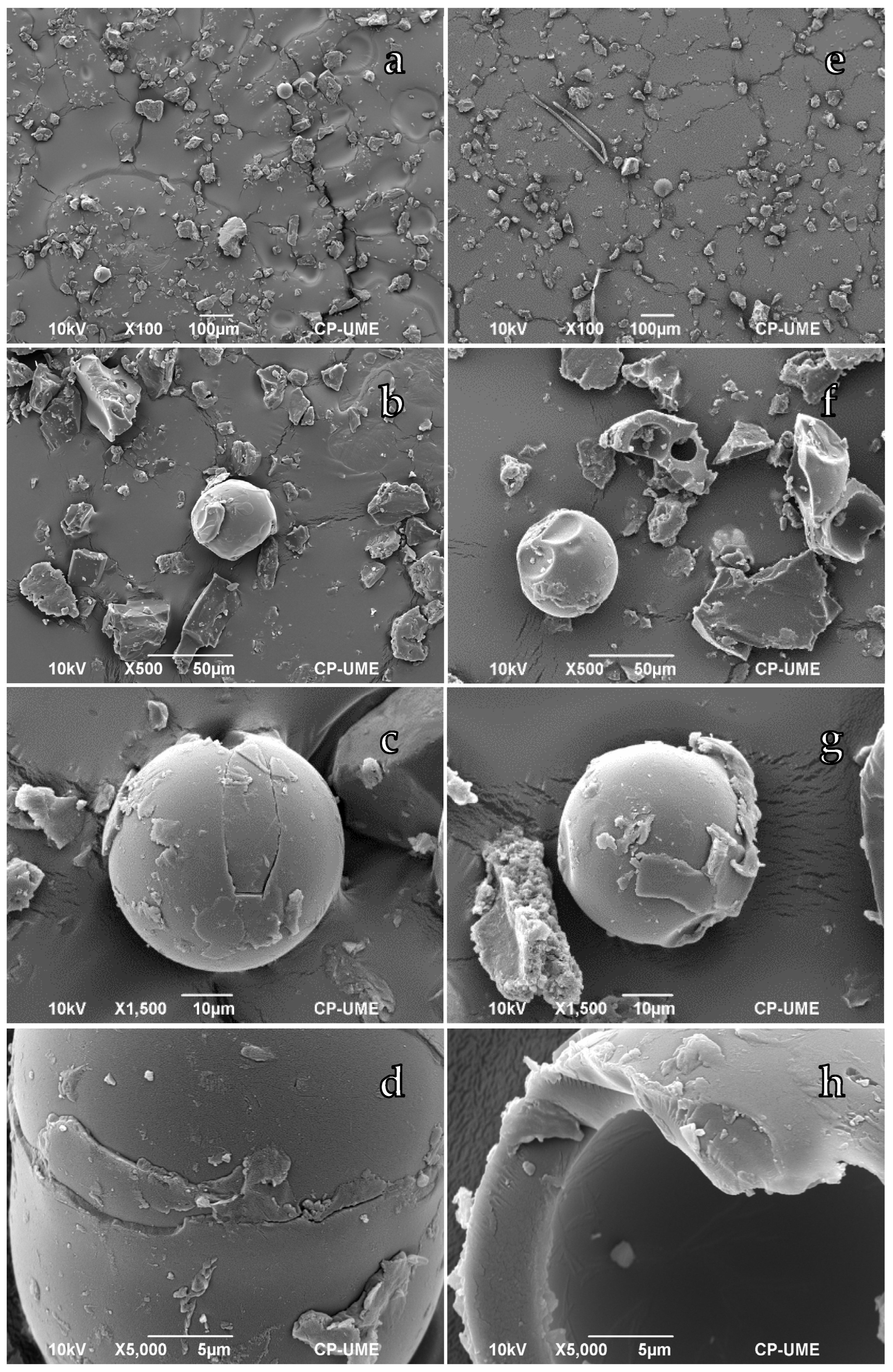 Processes 12 01498 g002