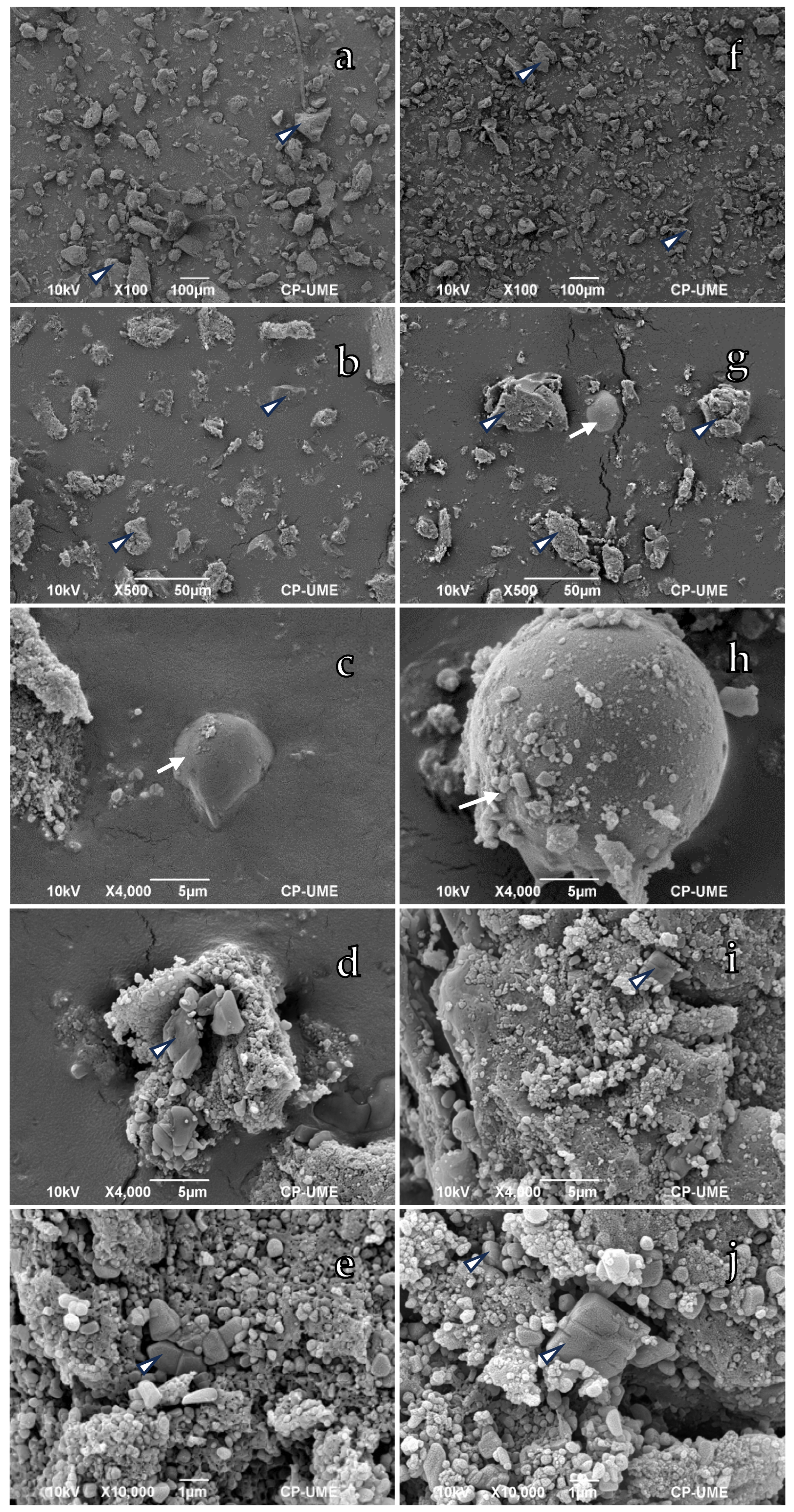 Processes 12 01498 g004