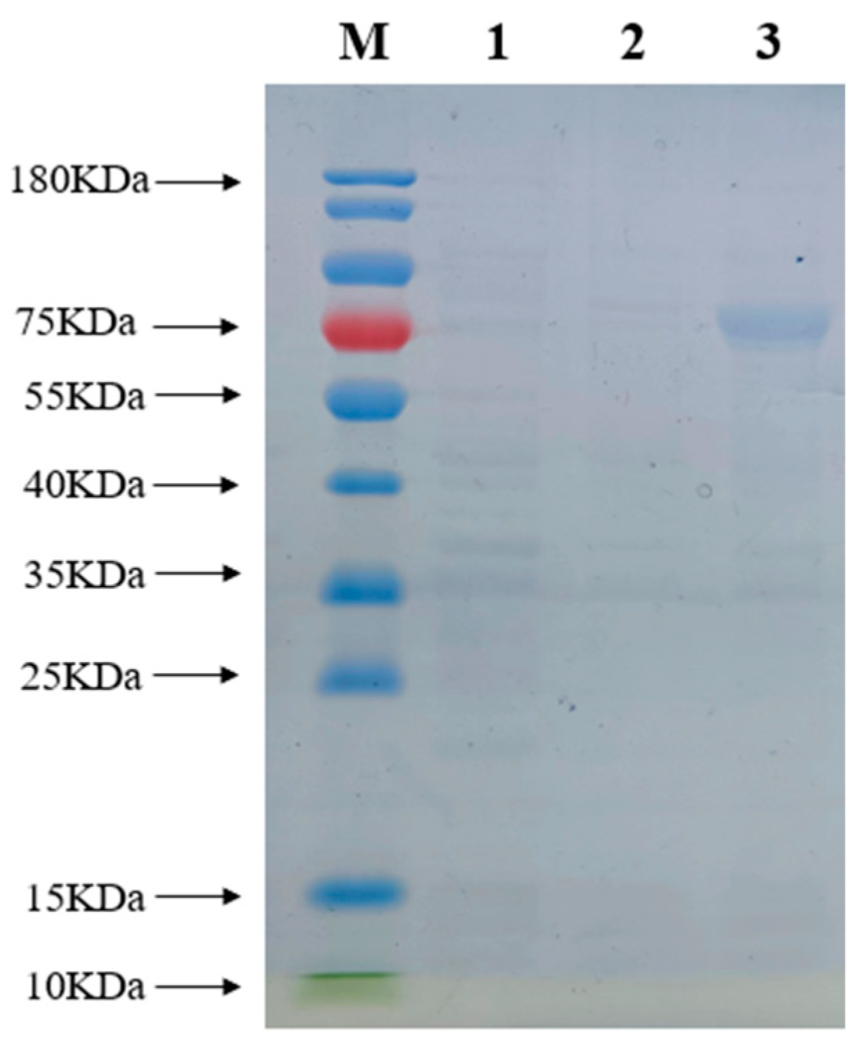 Processes 12 01511 g008