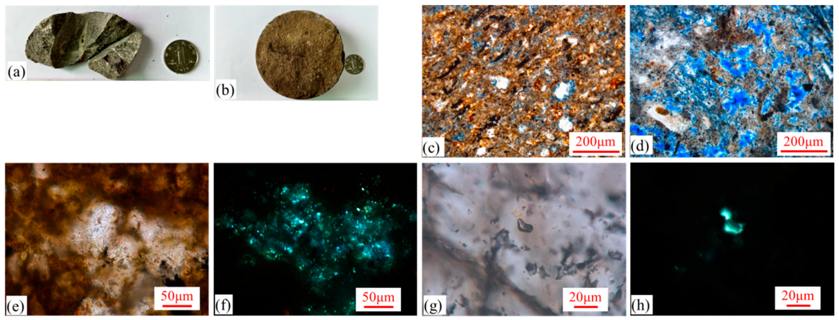 Processes 12 01514 g002
