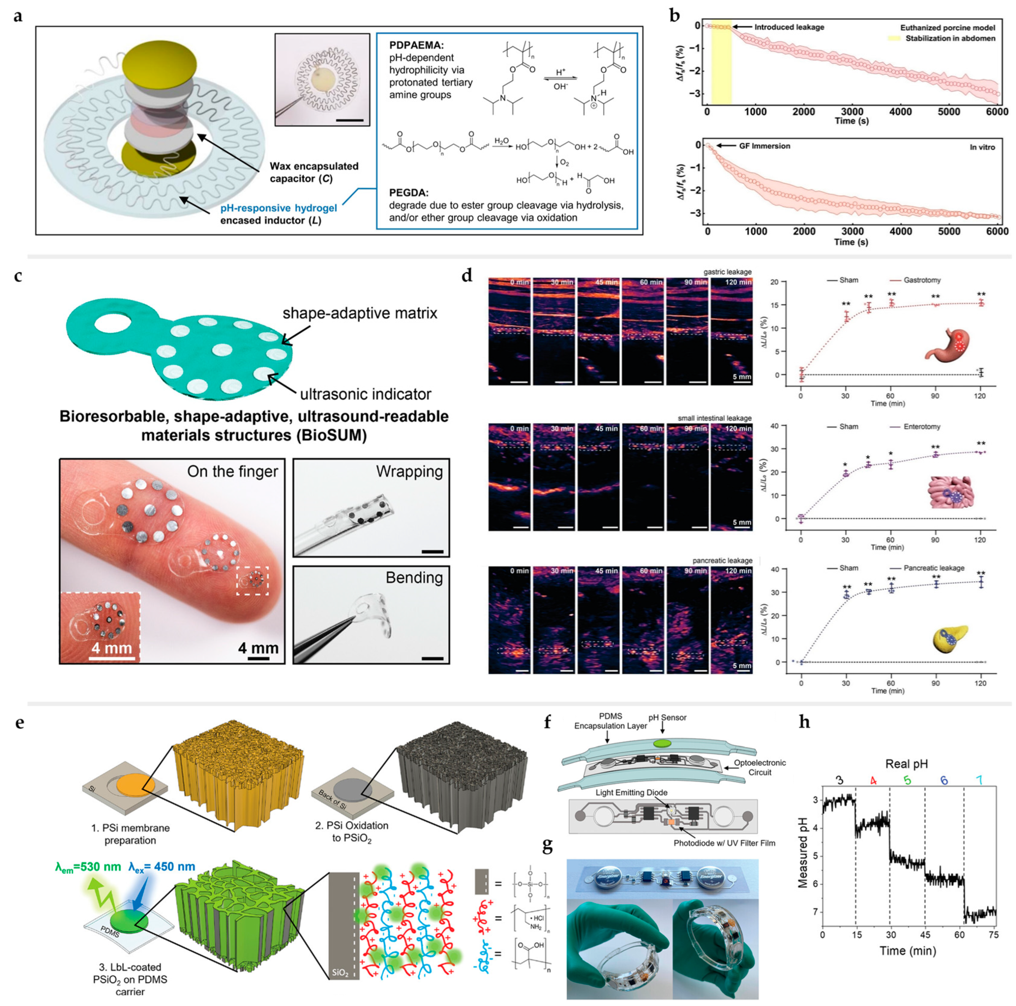 Processes 12 01535 g003