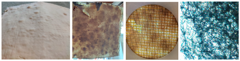 Processes 12 01545 i001