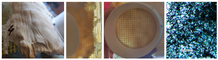 Processes 12 01545 i002