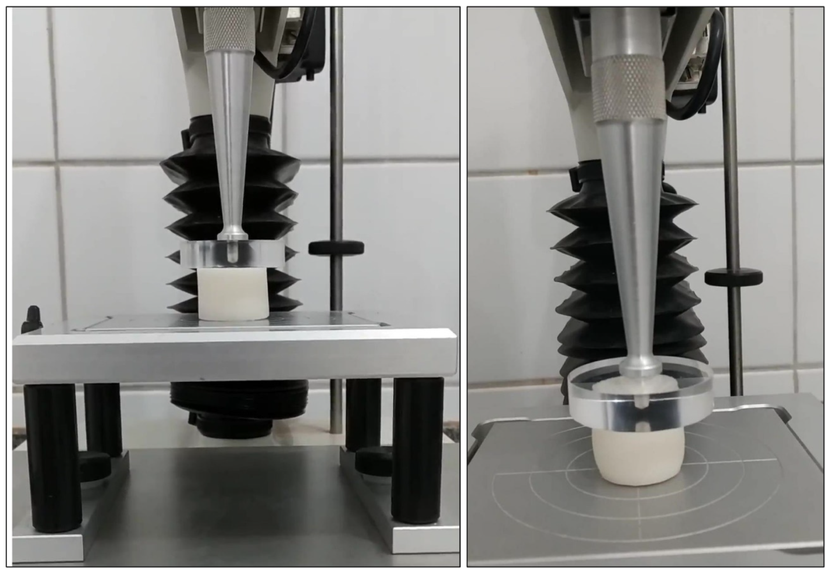 Processes 12 01564 g004