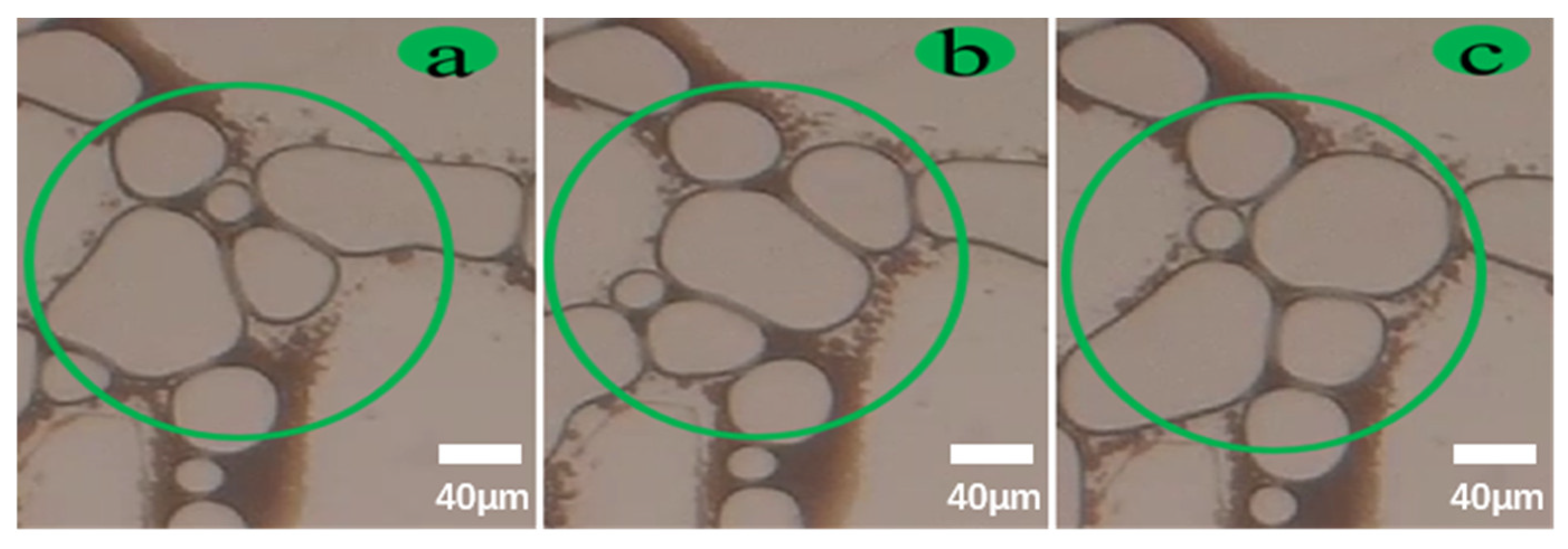 Processes 12 01582 g018