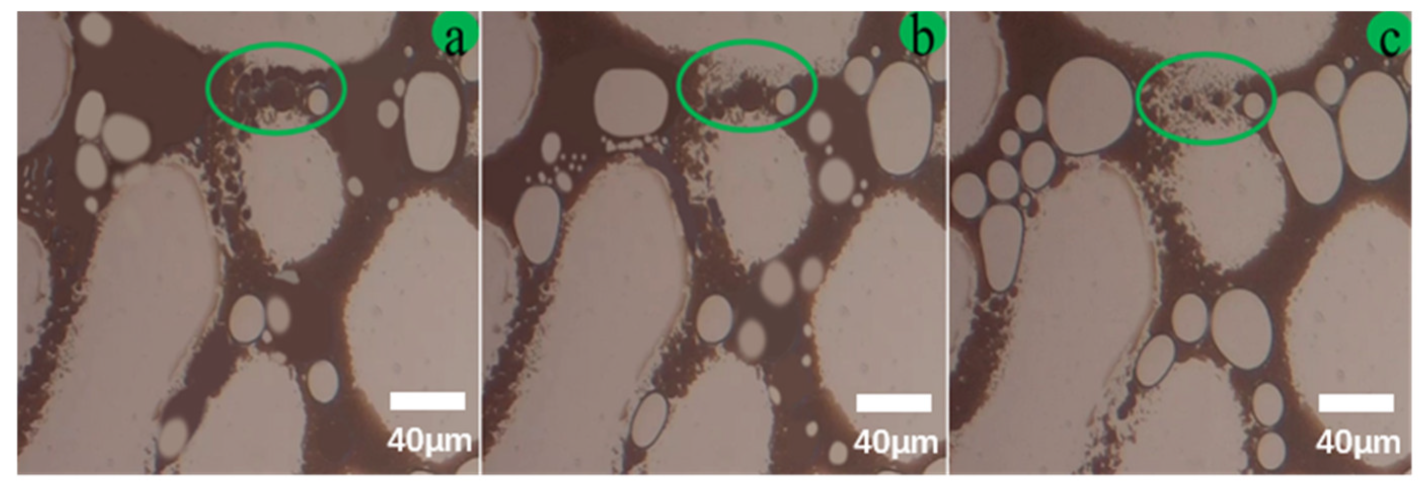 Processes 12 01582 g022