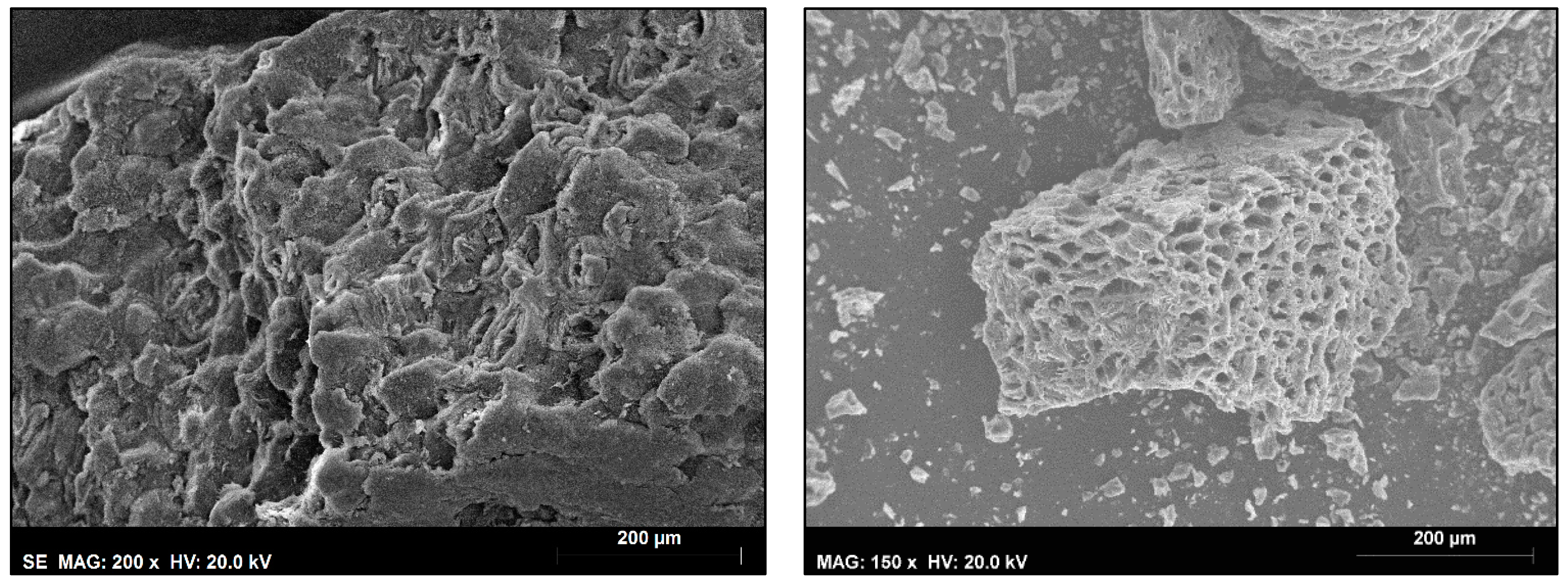Processes 12 01603 g005