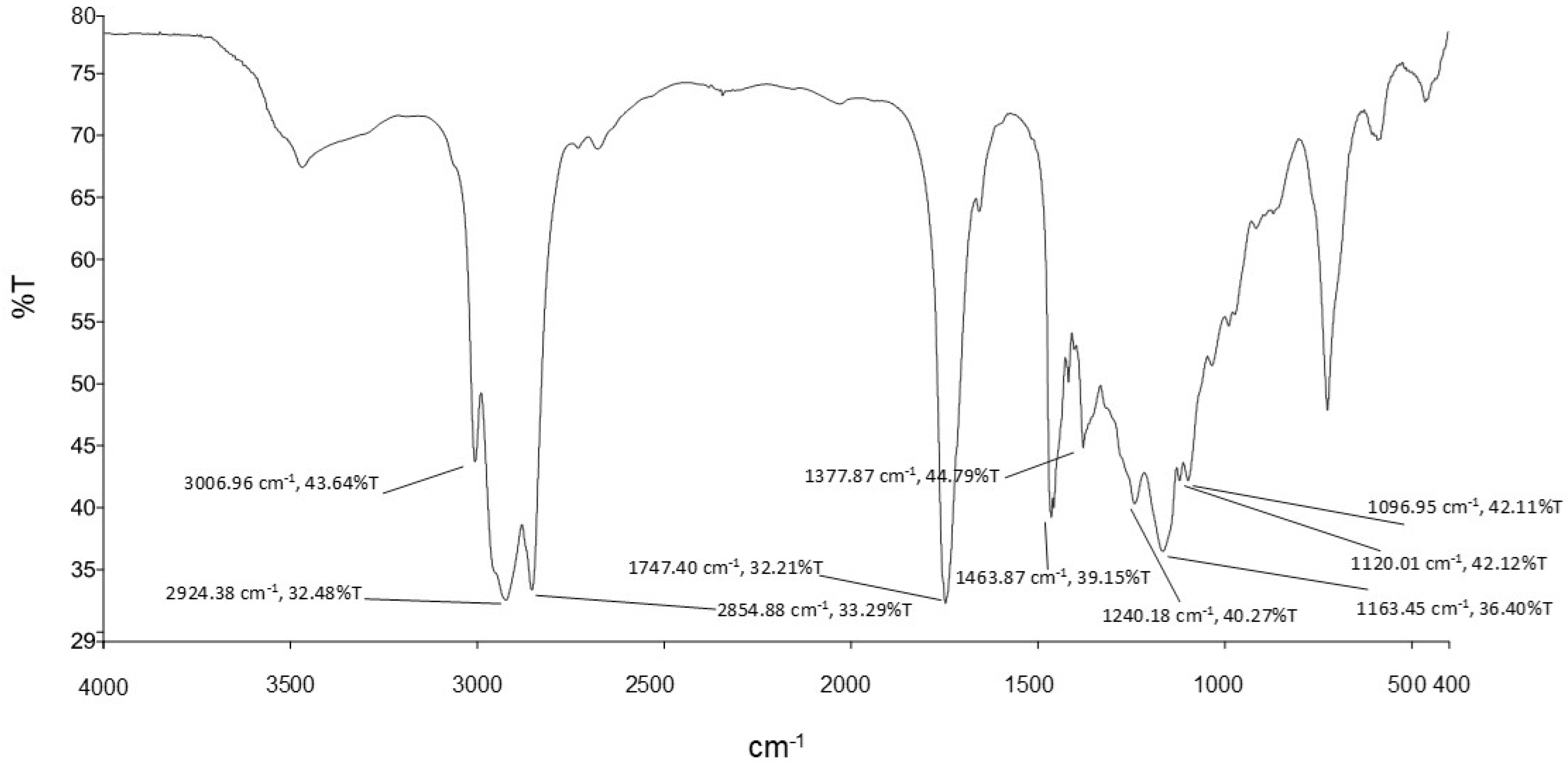Processes 12 01605 g003