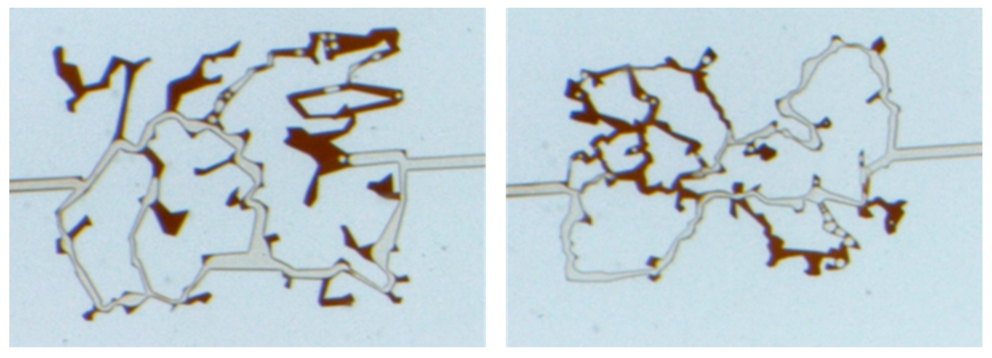 Processes 12 01608 g008