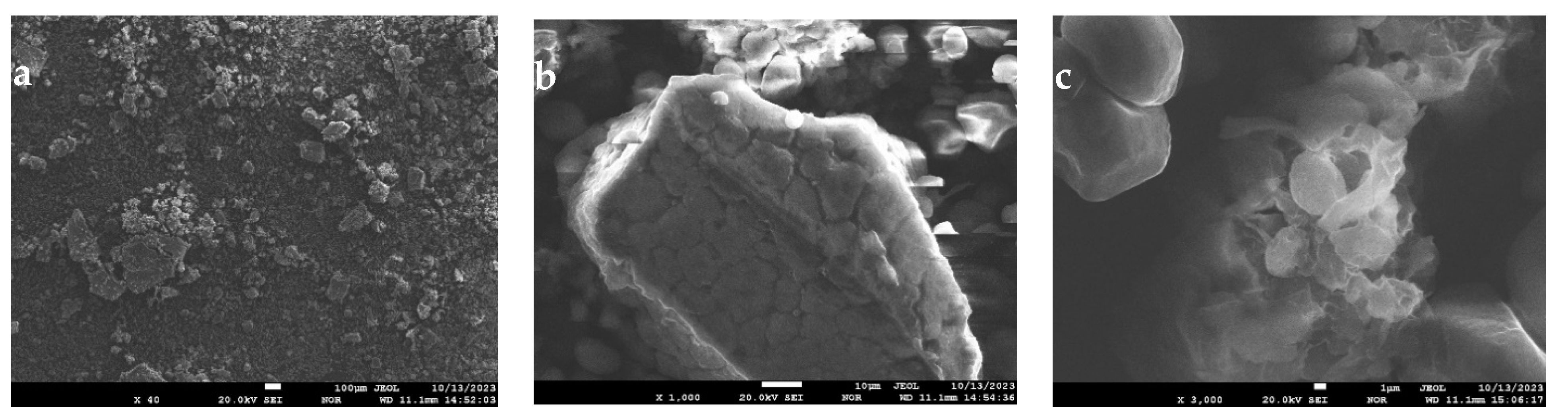 Processes 12 01616 g006