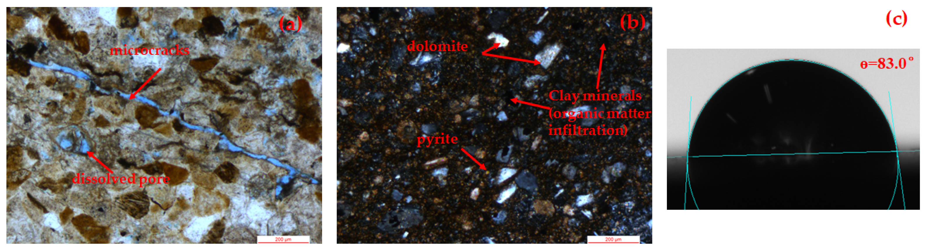 Processes 12 01665 g001