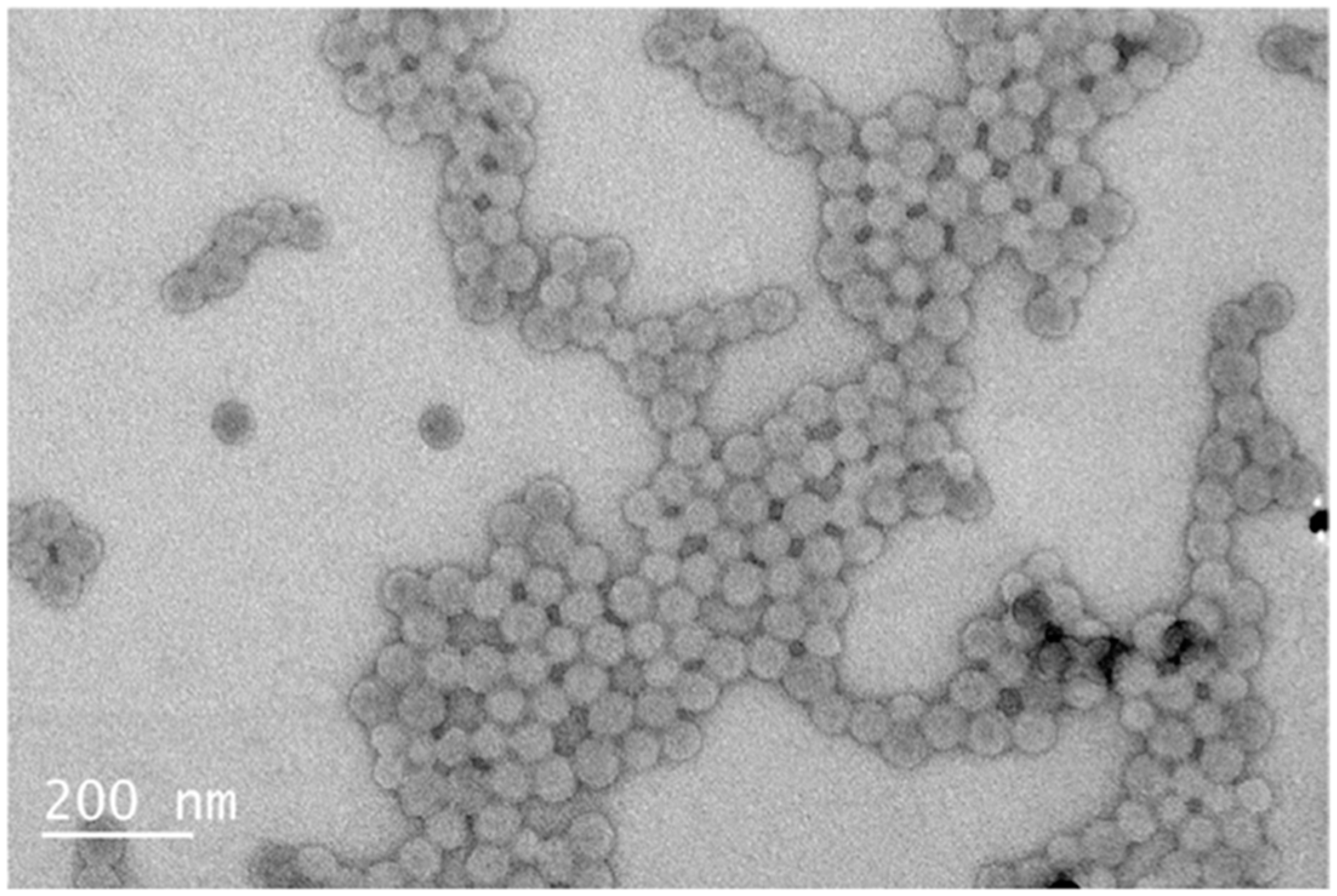 Processes 12 01676 g008