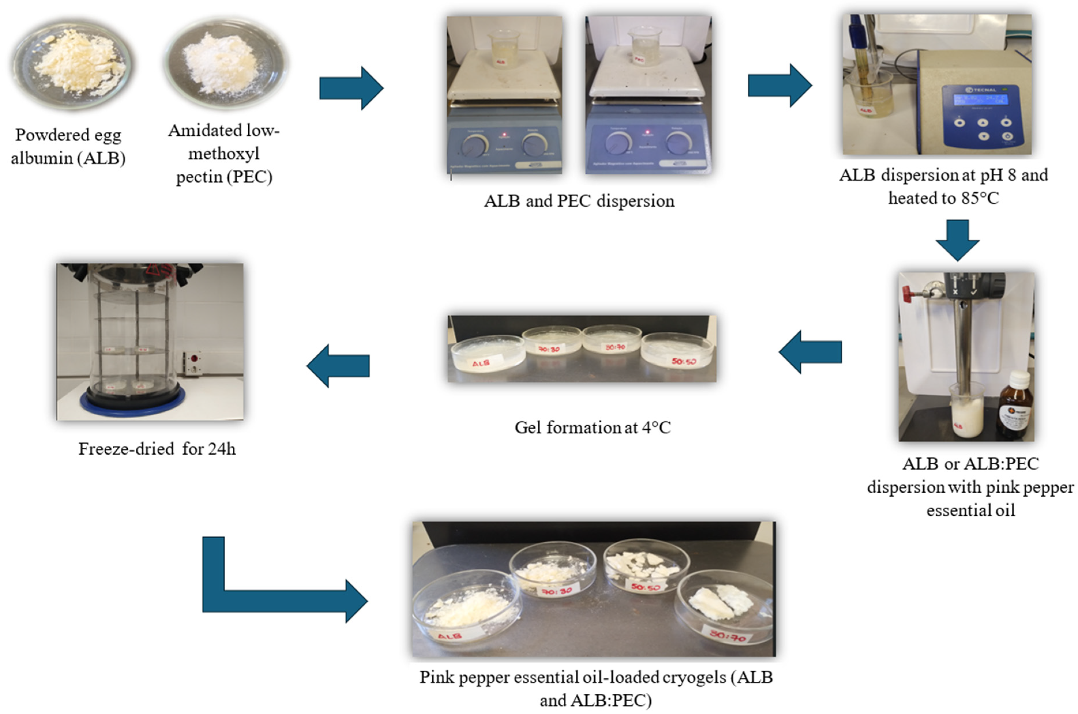 Processes 12 01681 g001