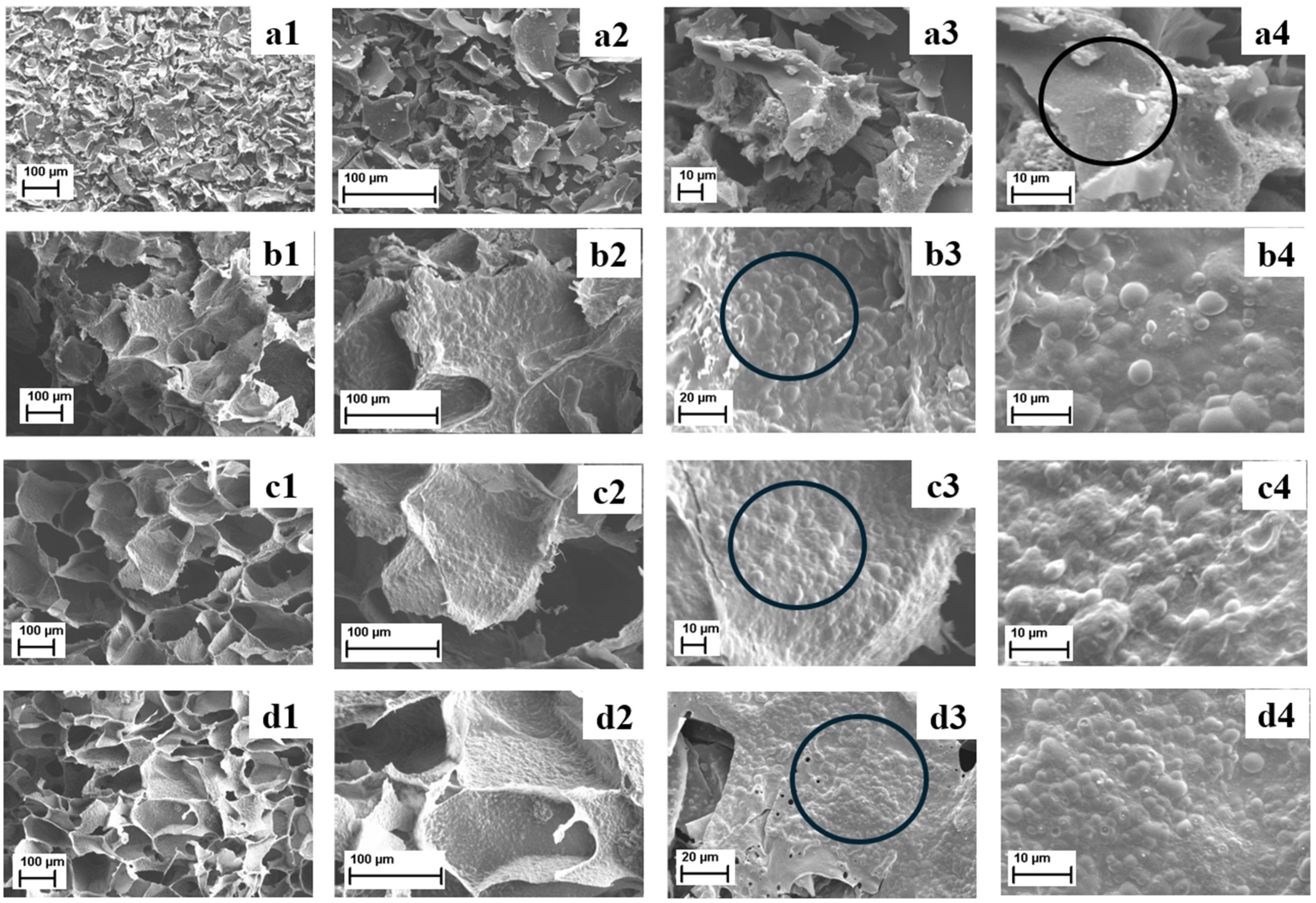 Processes 12 01681 g006