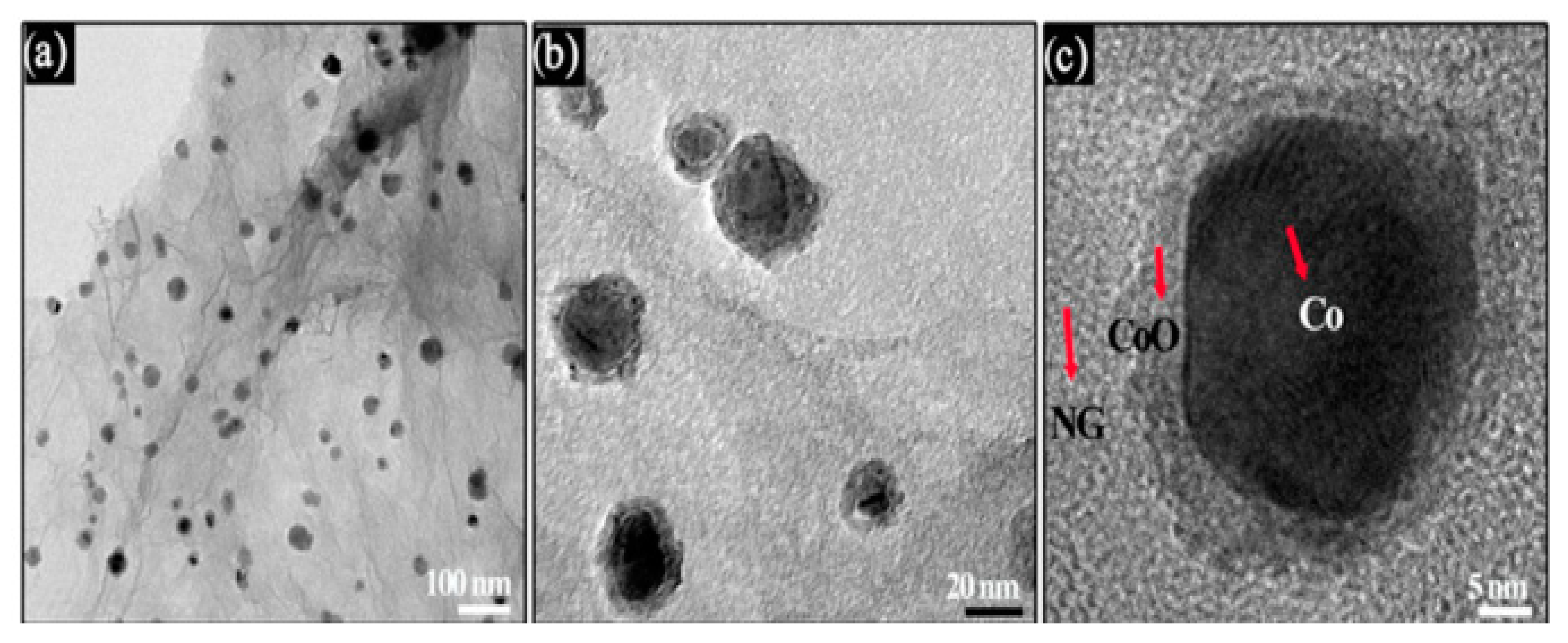 Processes 12 01684 g017