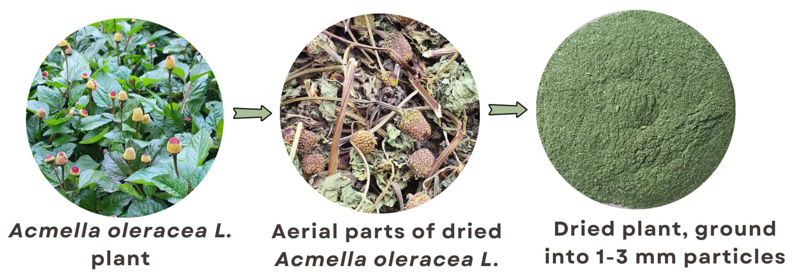 Processes 12 01686 g001