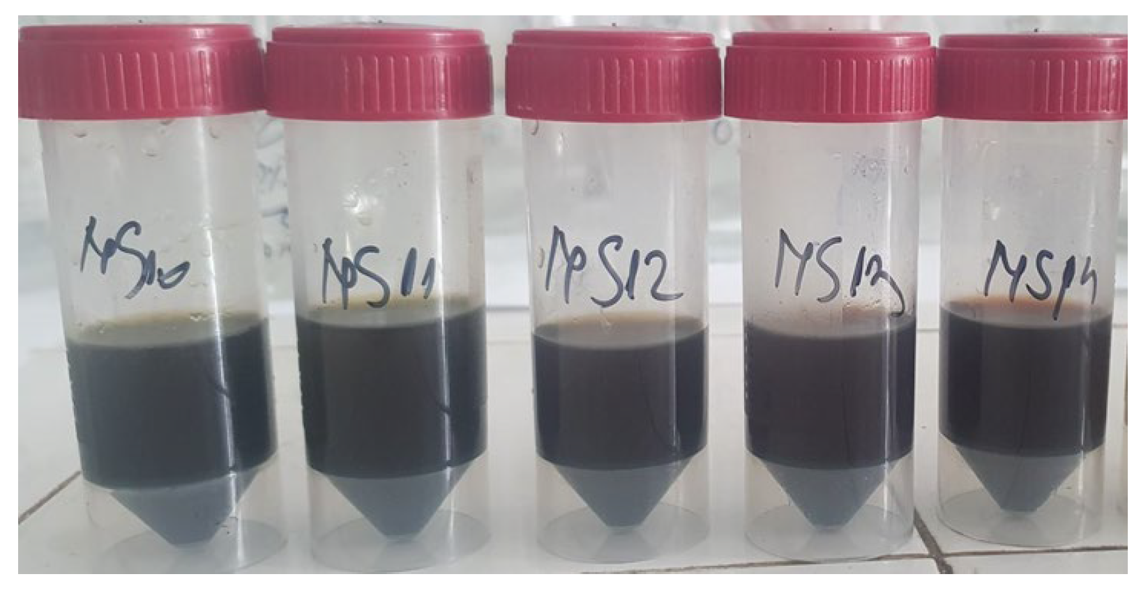 Processes 12 01686 g003