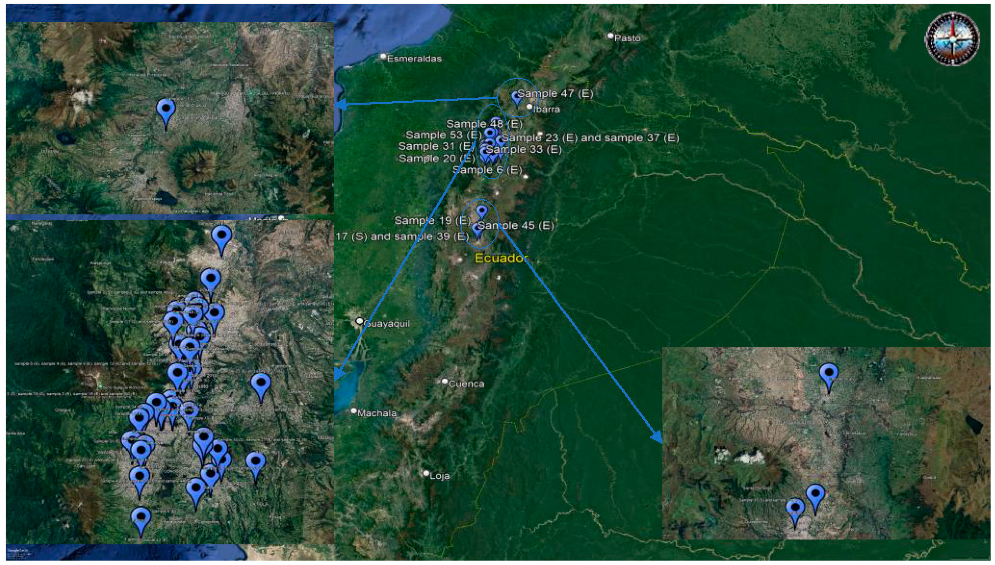 Processes 12 01706 g001