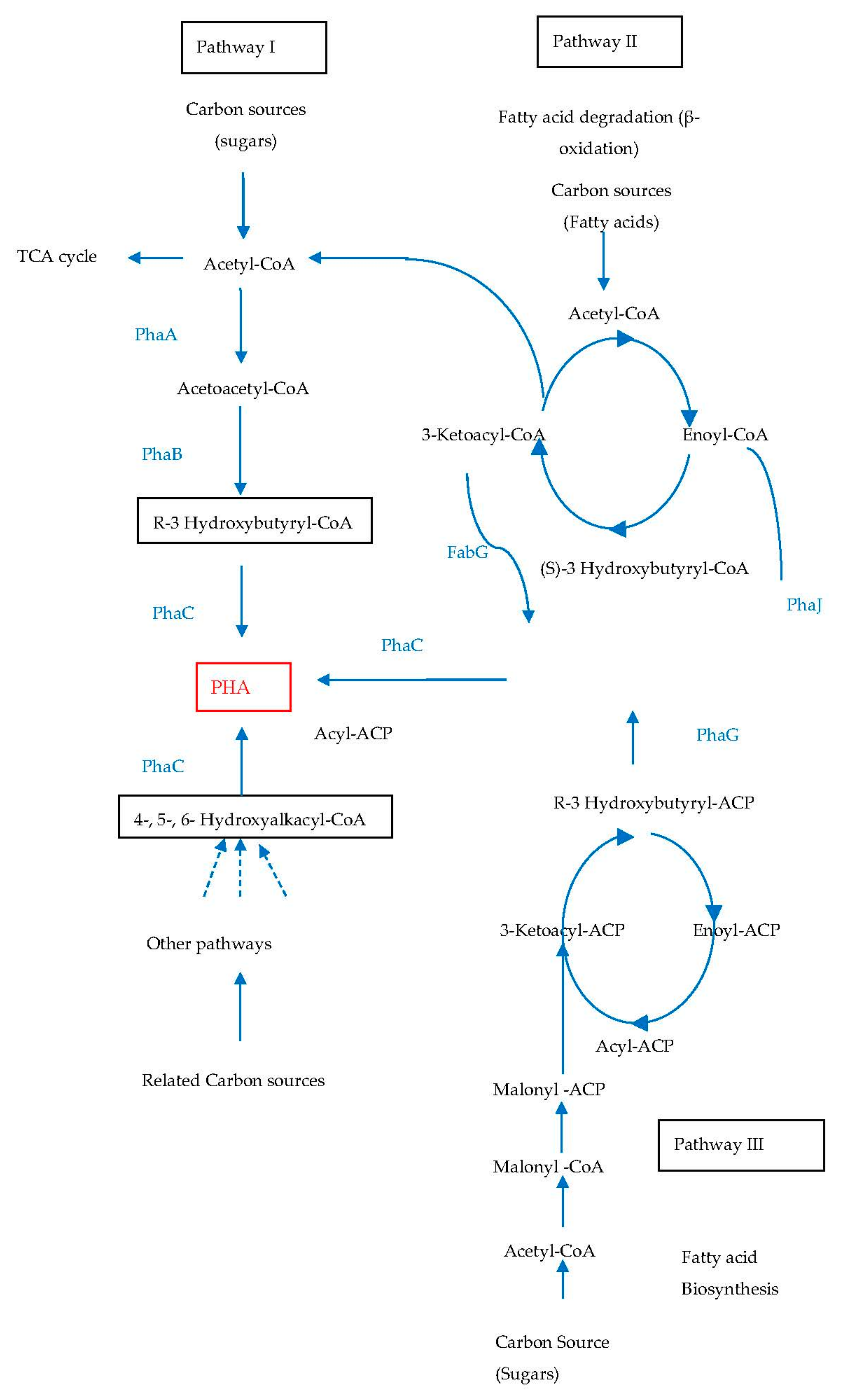 Processes 12 01720 g005