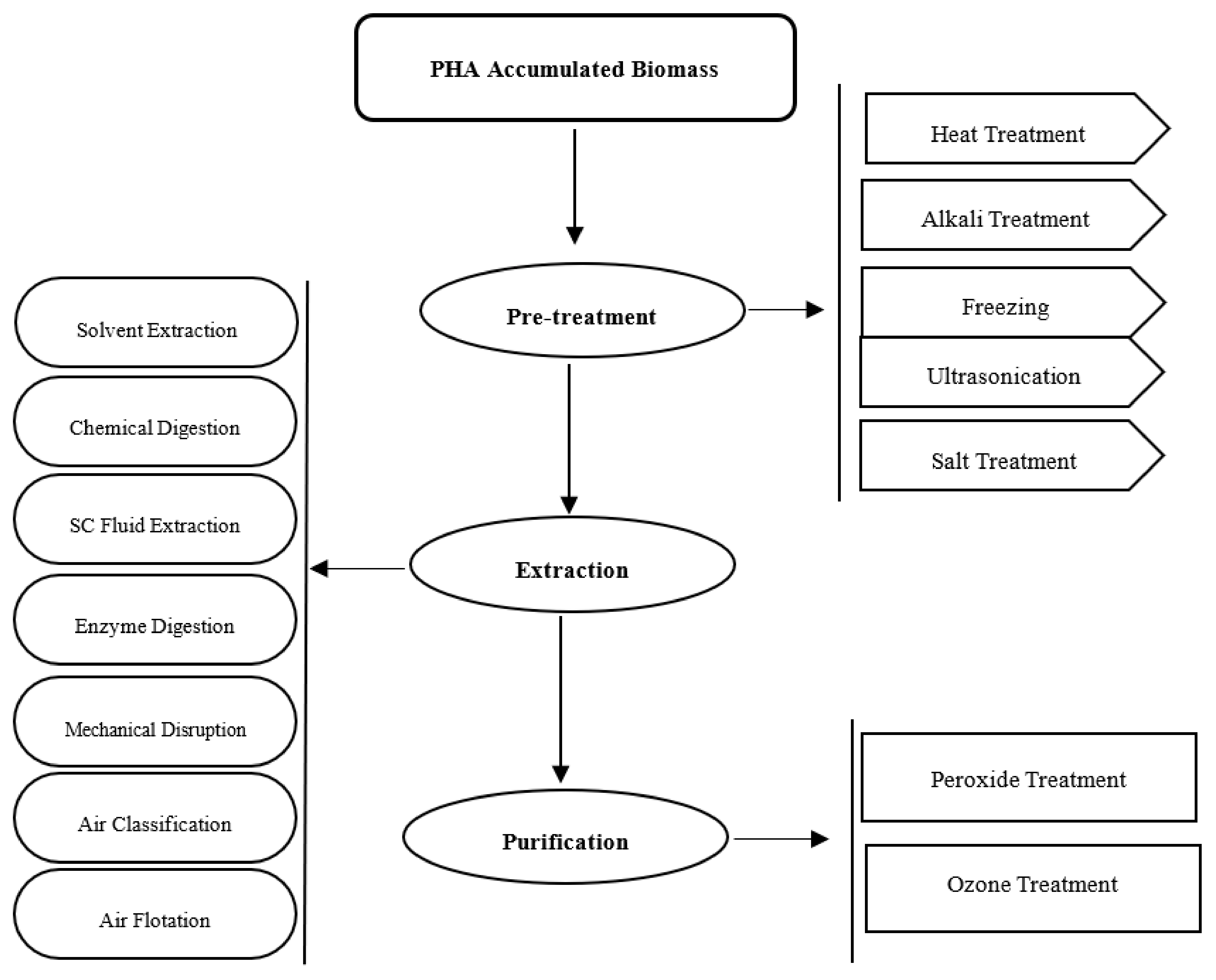 Processes 12 01720 g006
