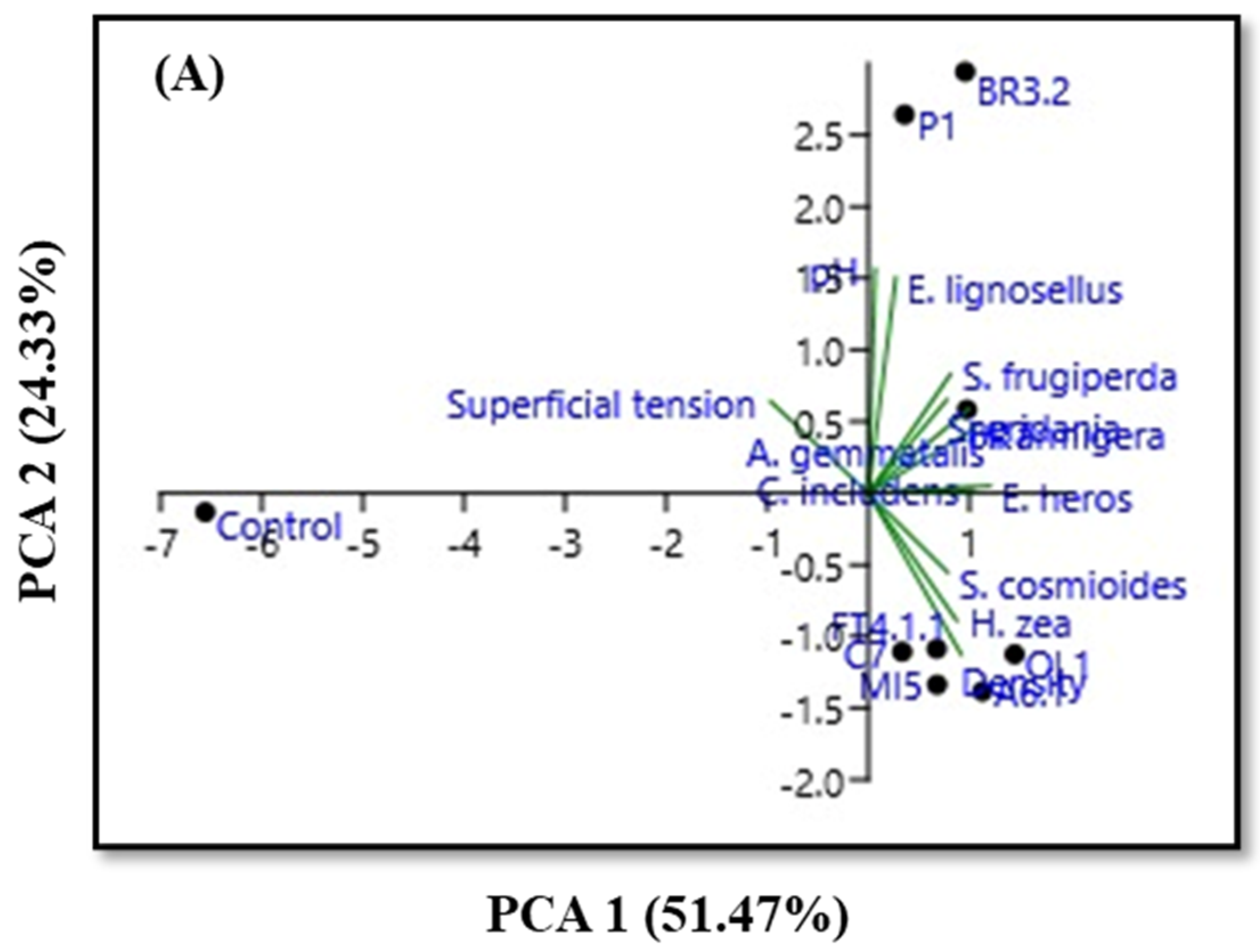 Processes 12 01722 g001a