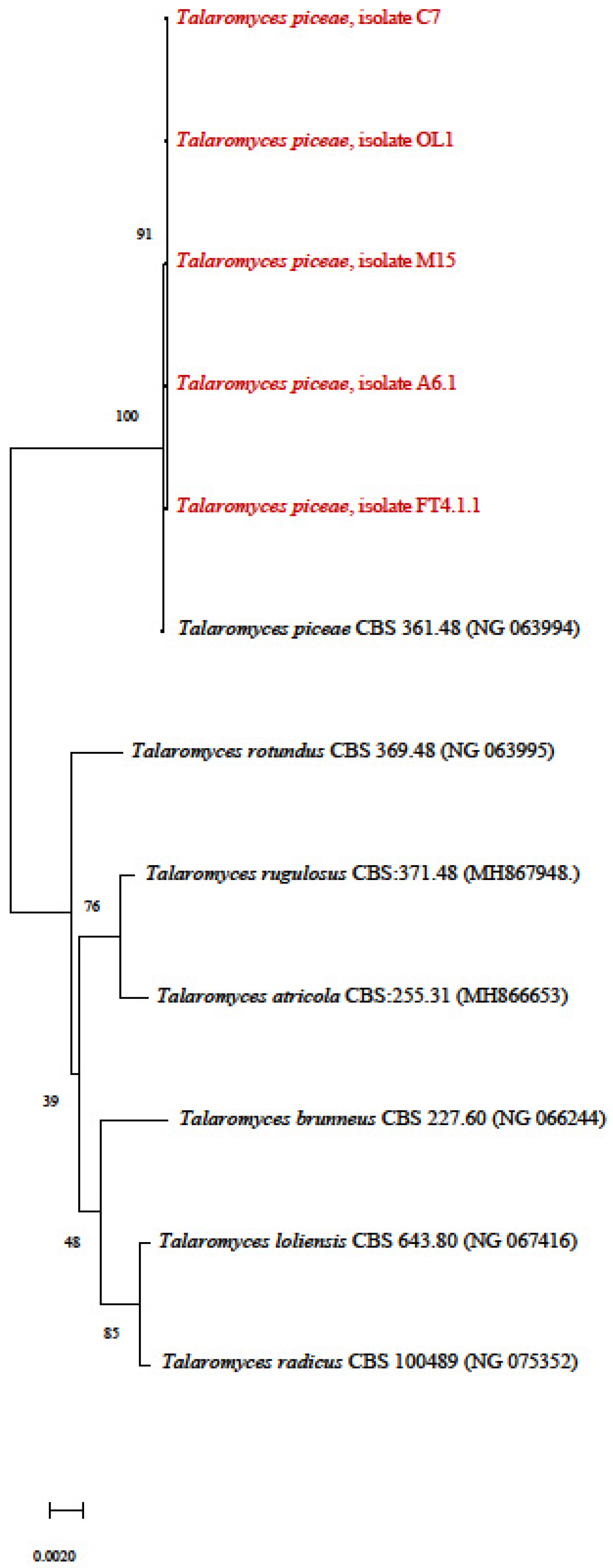 Processes 12 01722 g002